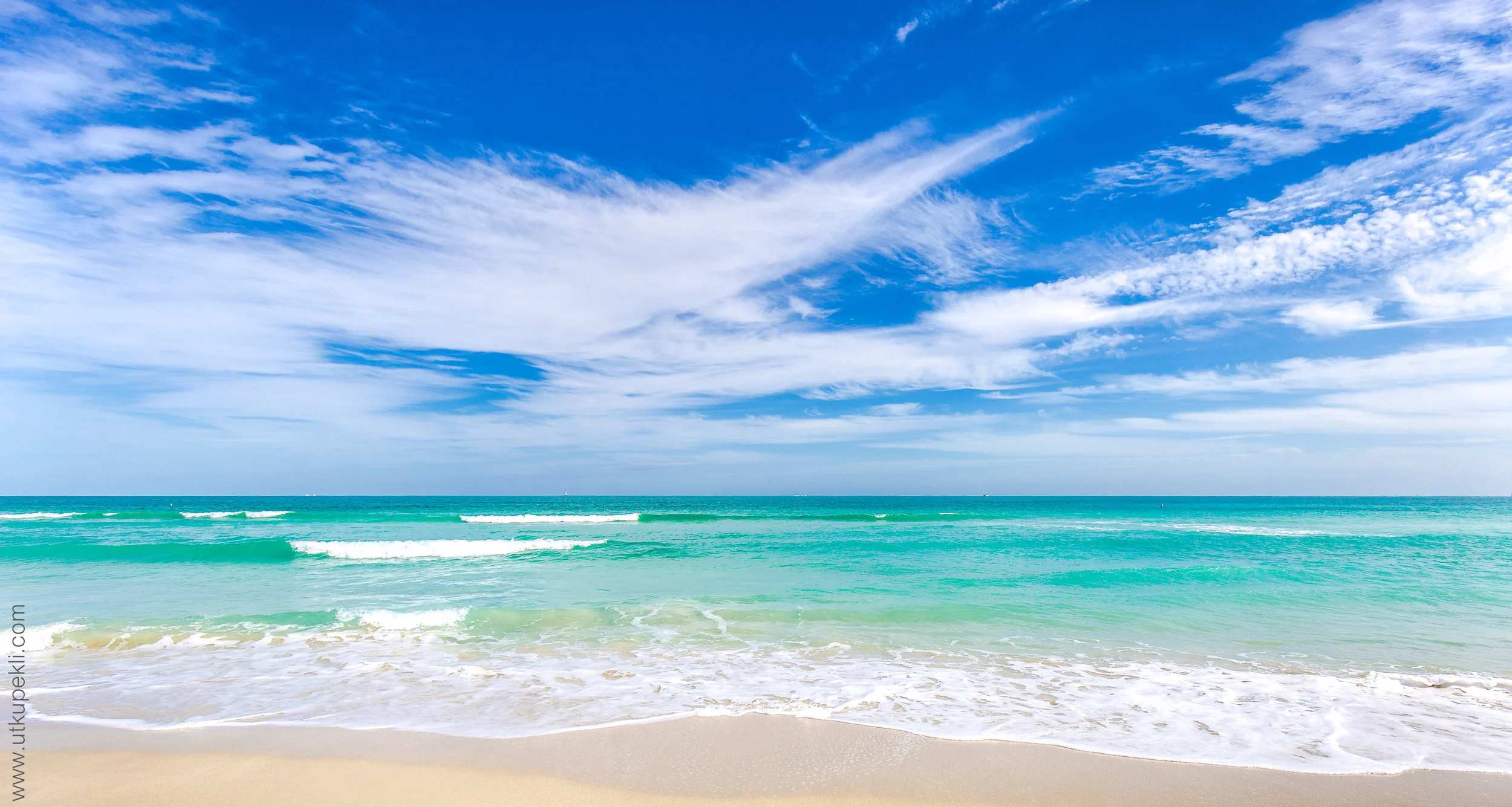 Florida-80.jpg