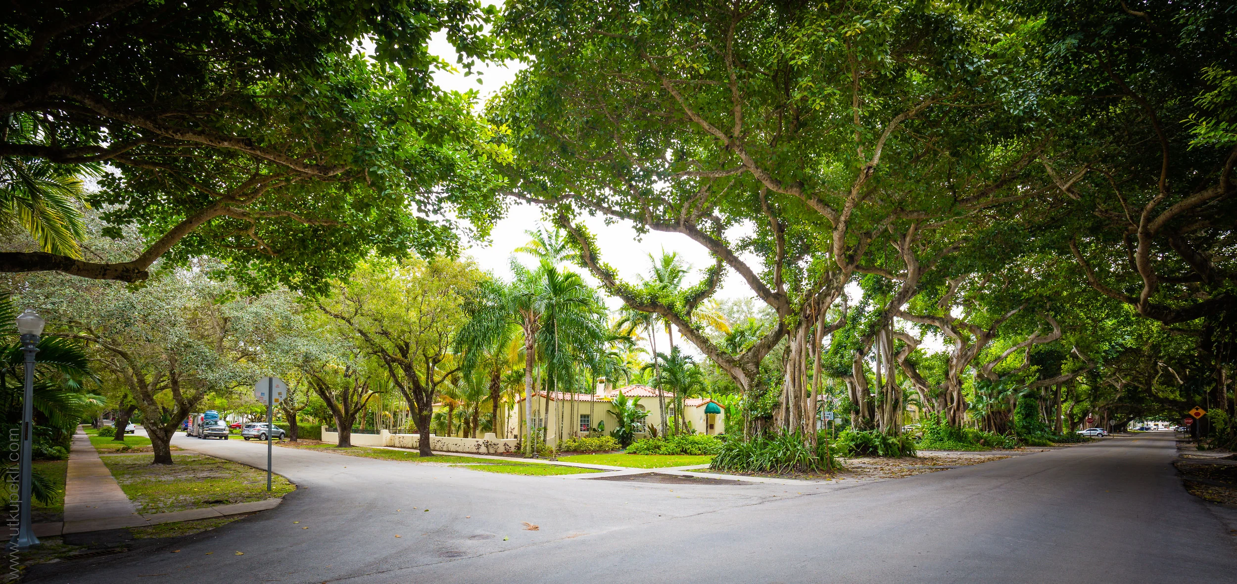 Florida-60.jpg