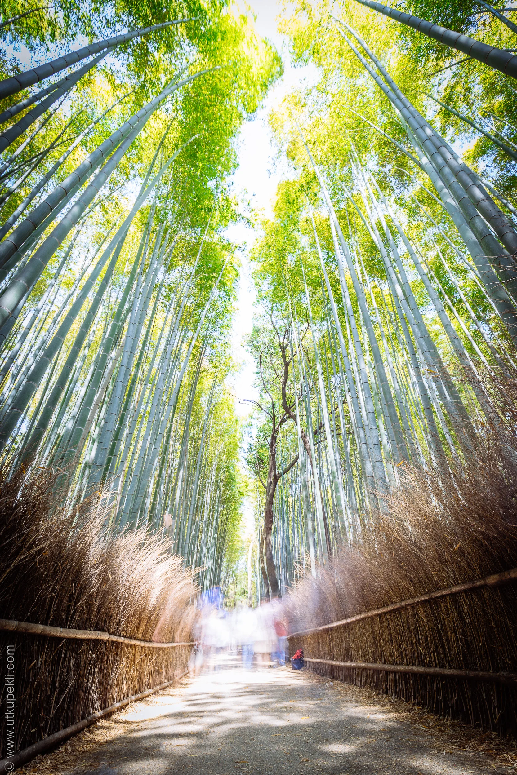 Tokyo 2018-109.jpg