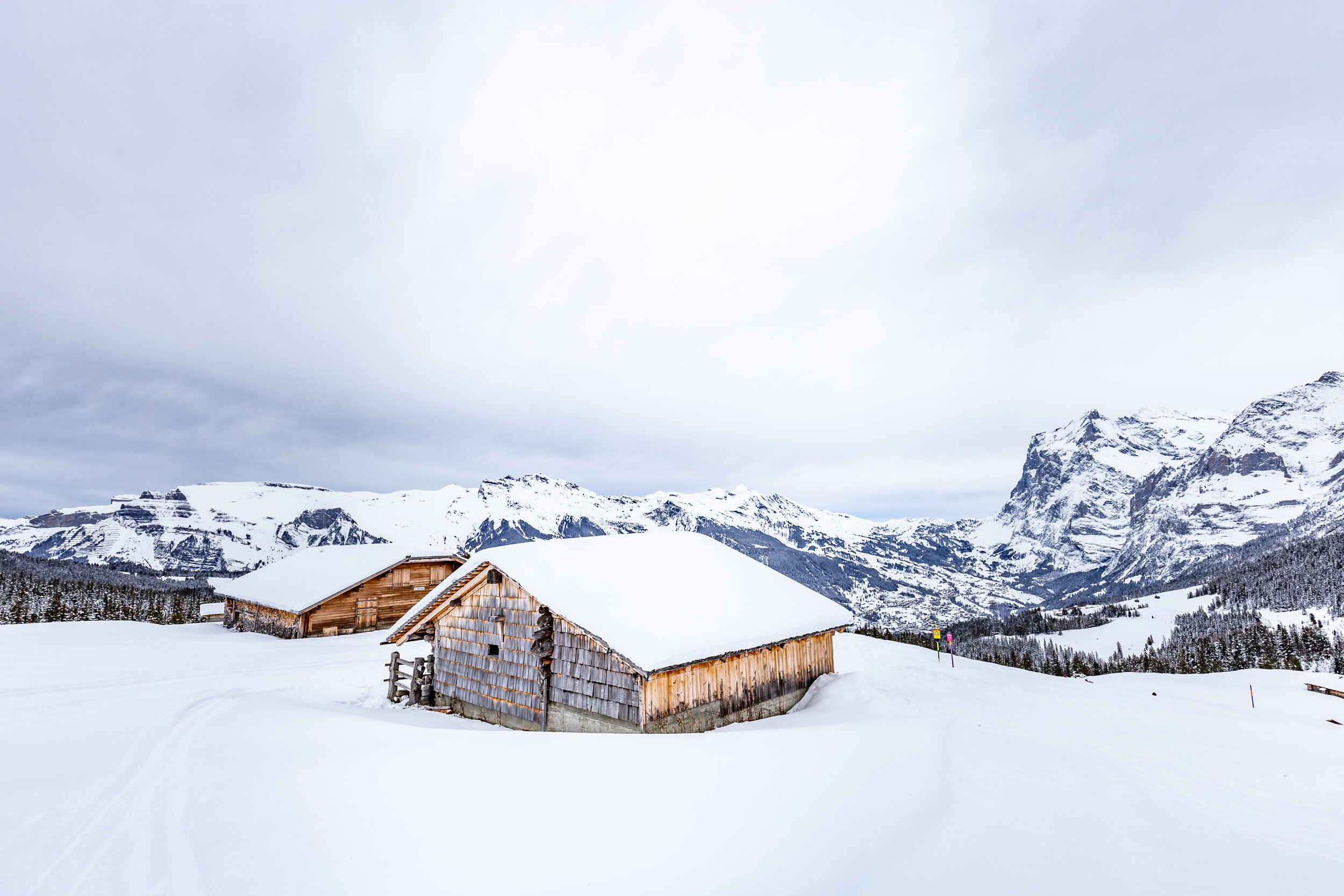 Swiss HD-9.jpg