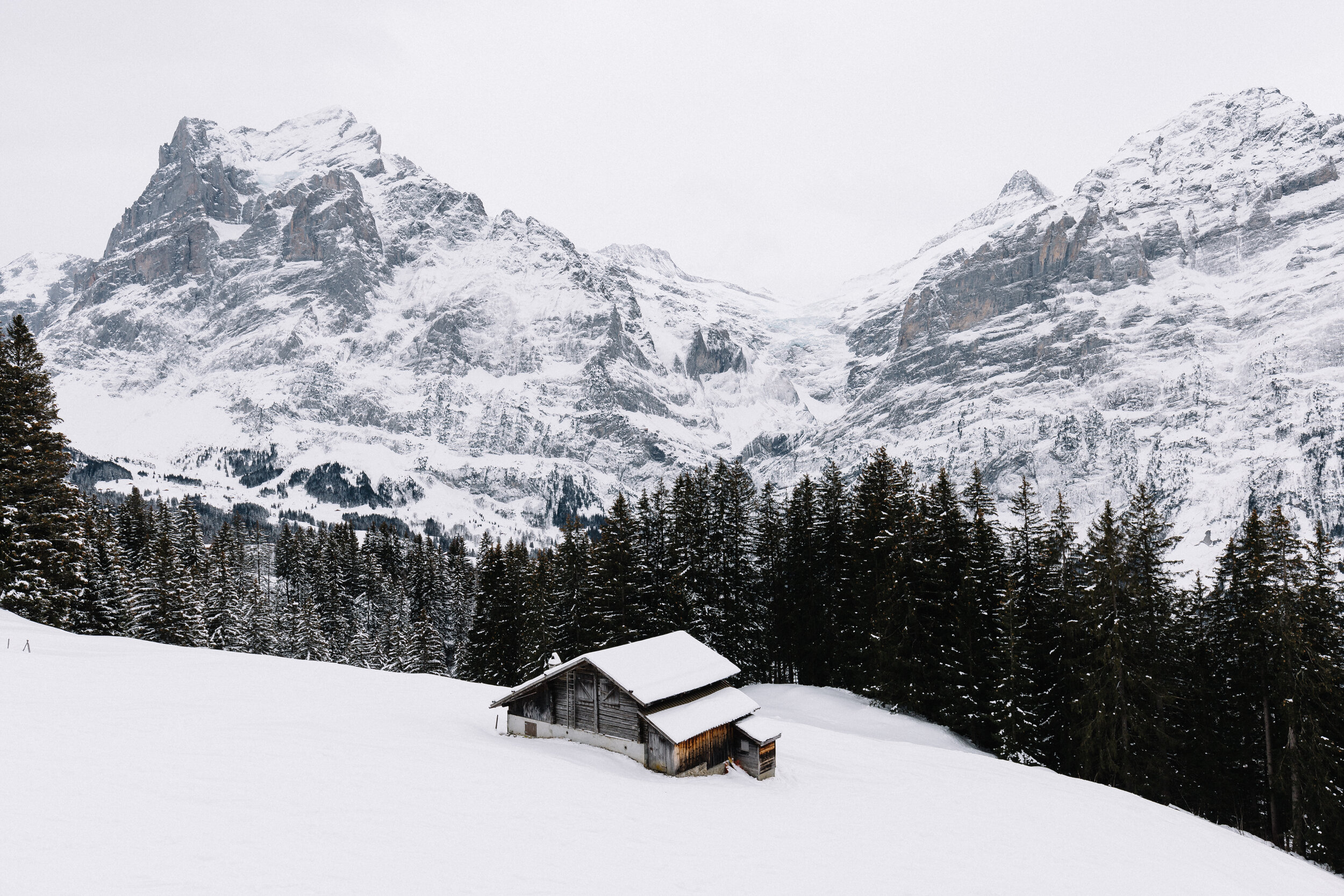 Swiss HD-14.jpg
