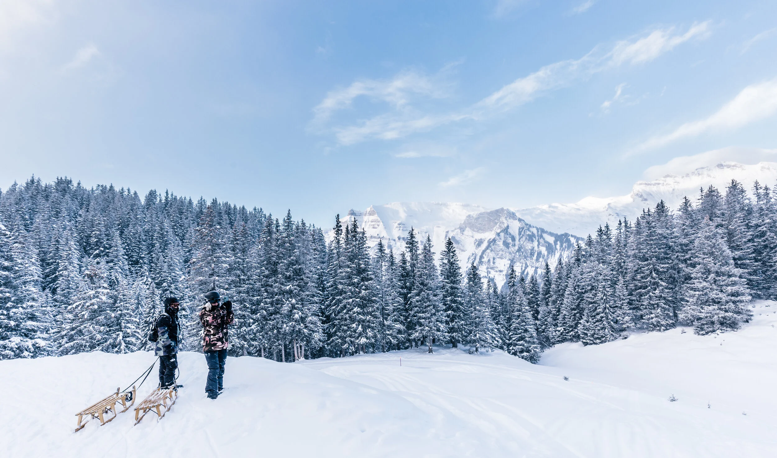 Swiss HD-25.jpg
