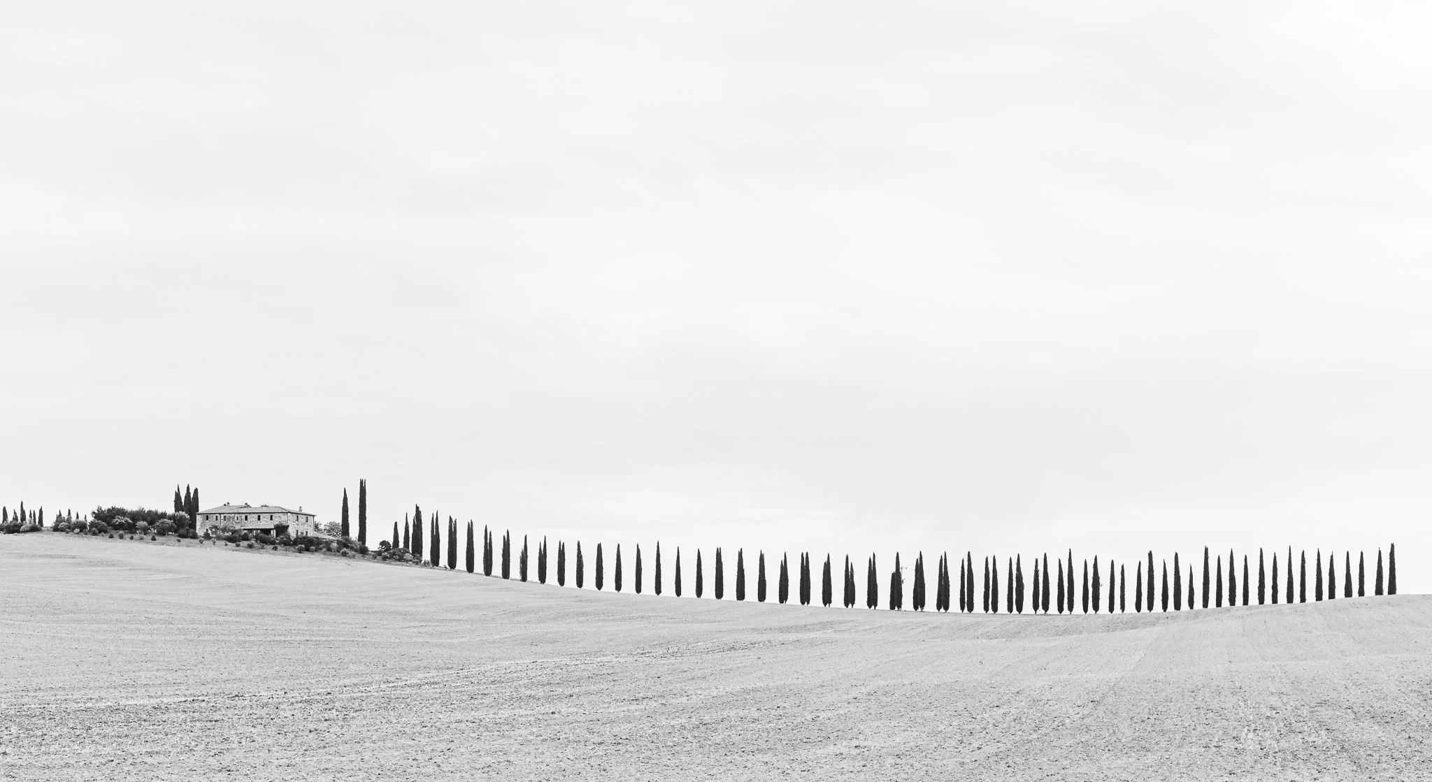 Italy 2021 SD (18).jpg