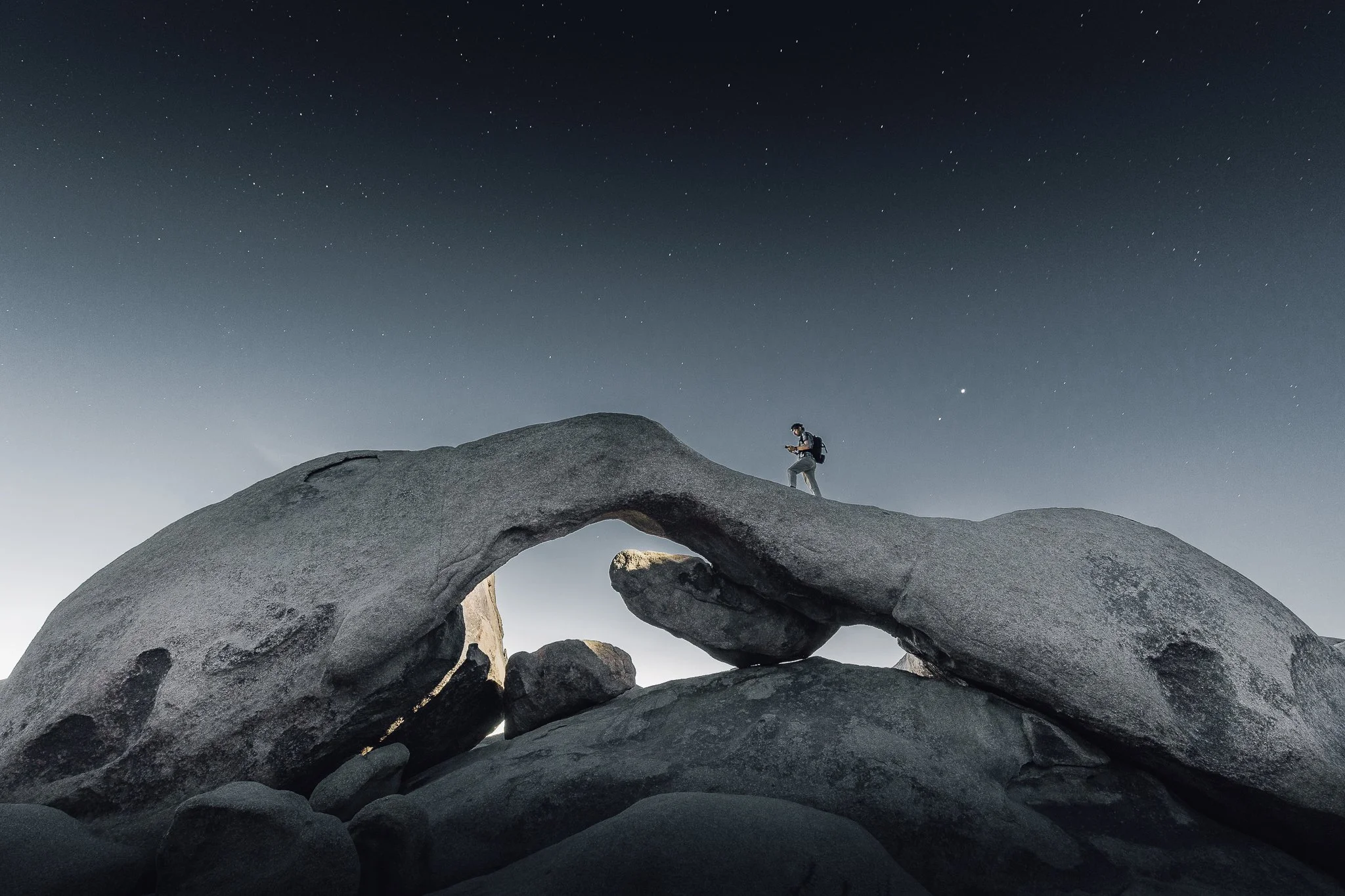 Joshua Tree SD-1.jpg