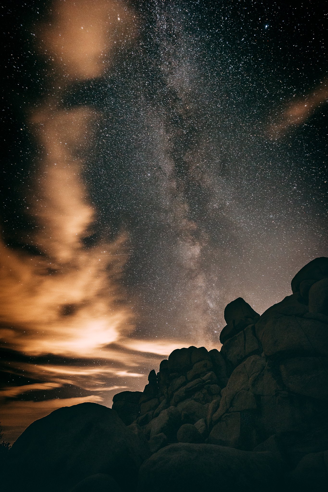 Joshua Tree SD-14.jpg