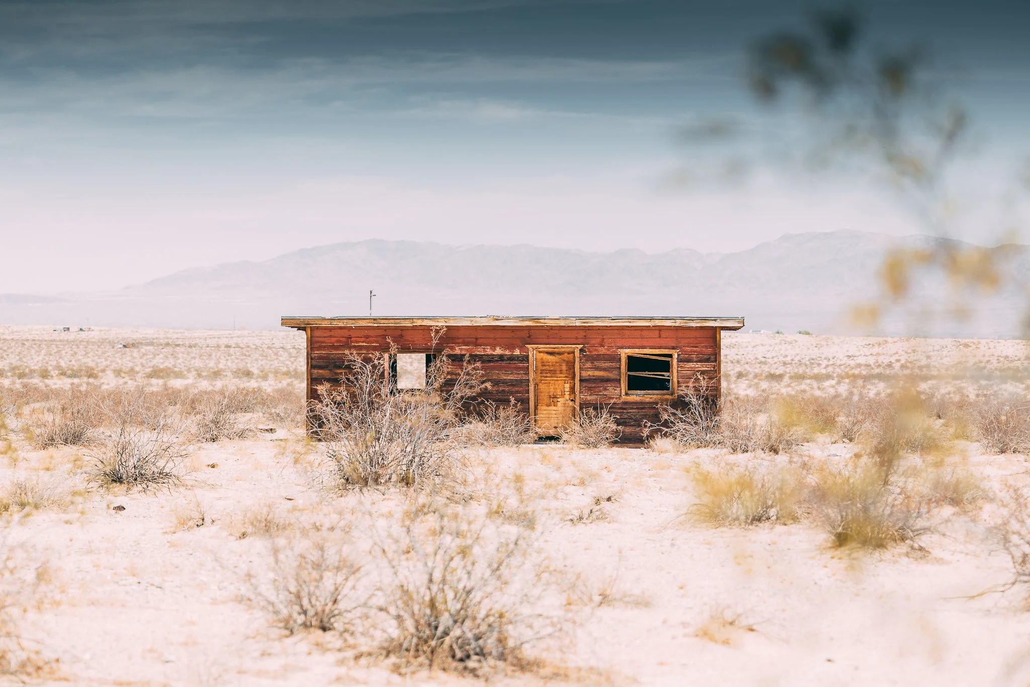 Joshua Tree SD-34.jpg