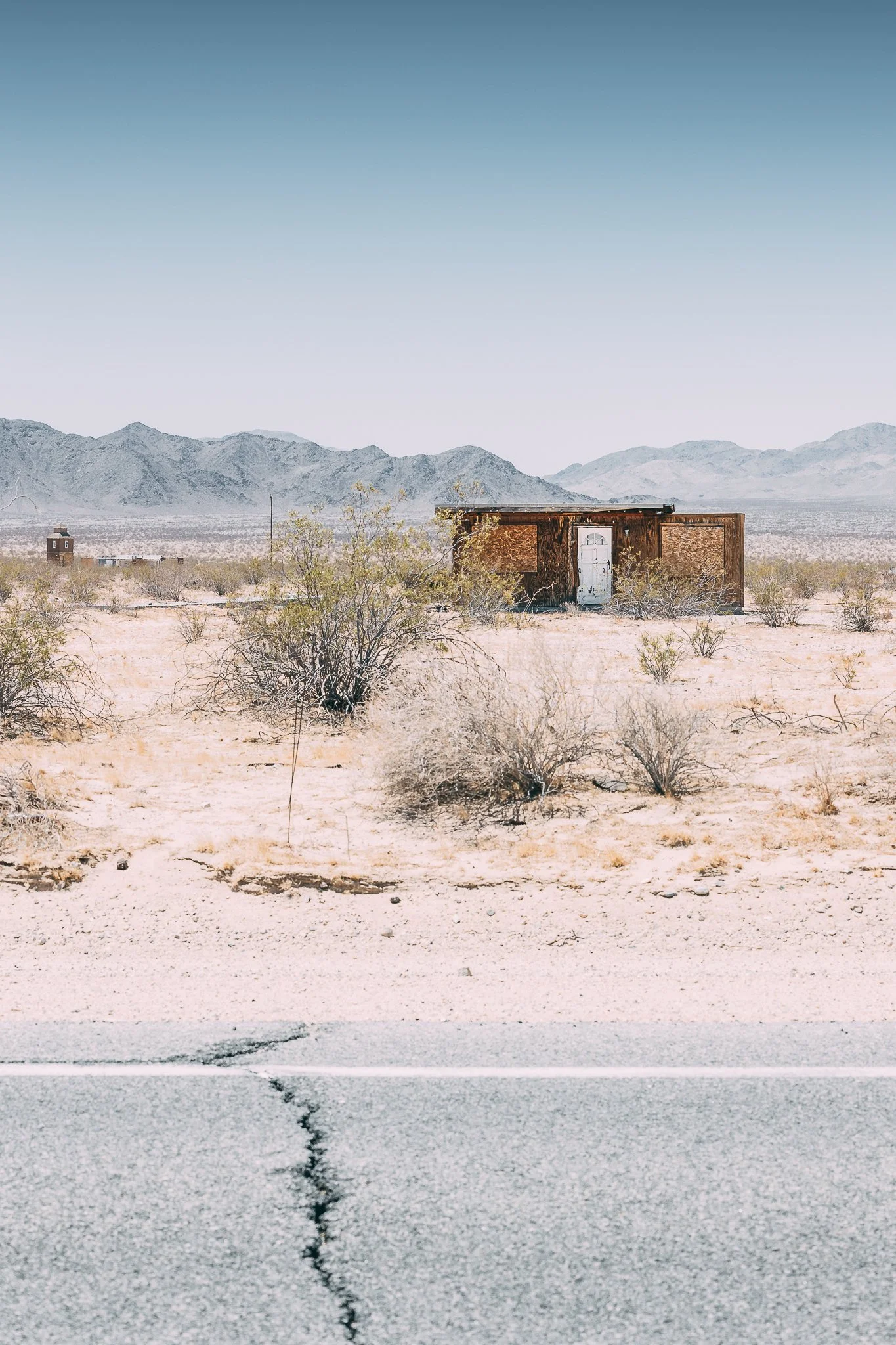 Joshua Tree SD-32.jpg