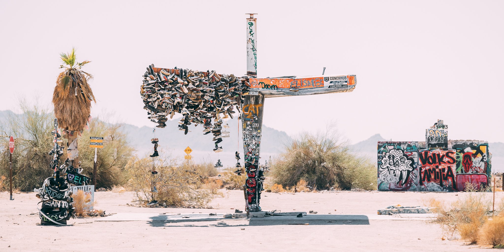 Joshua Tree SD-28.jpg