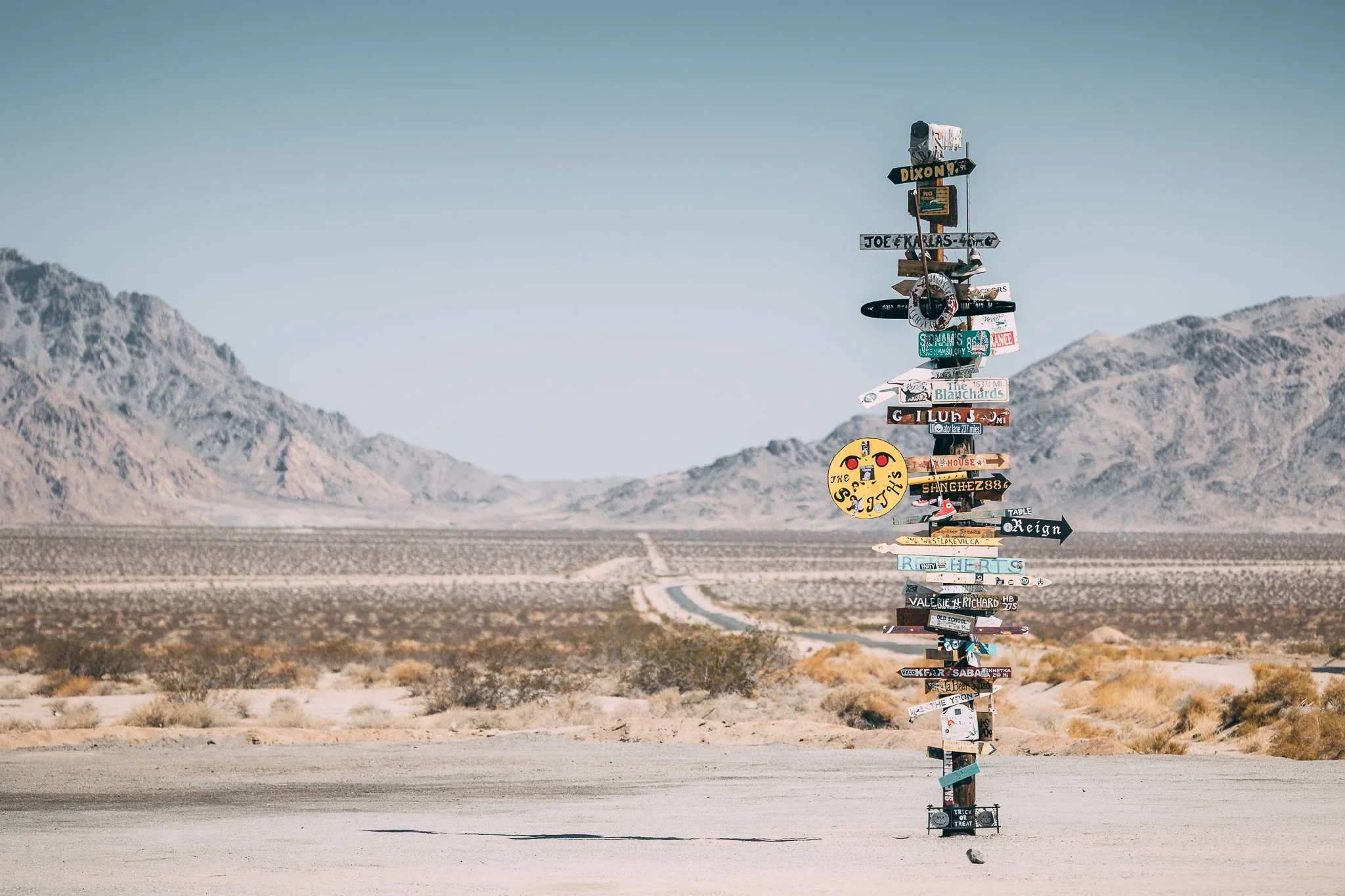 Joshua Tree SD-19.jpg