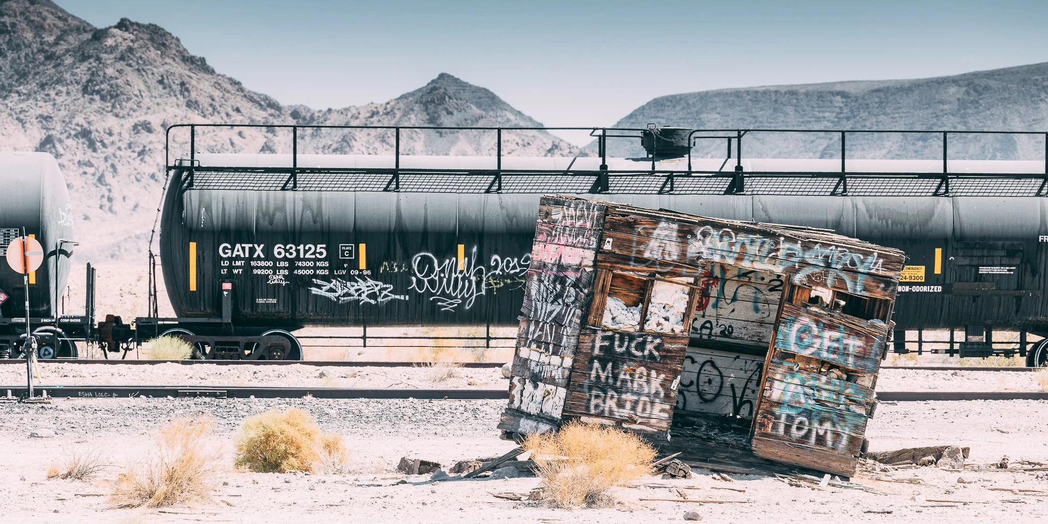 Joshua Tree SD-29.jpg