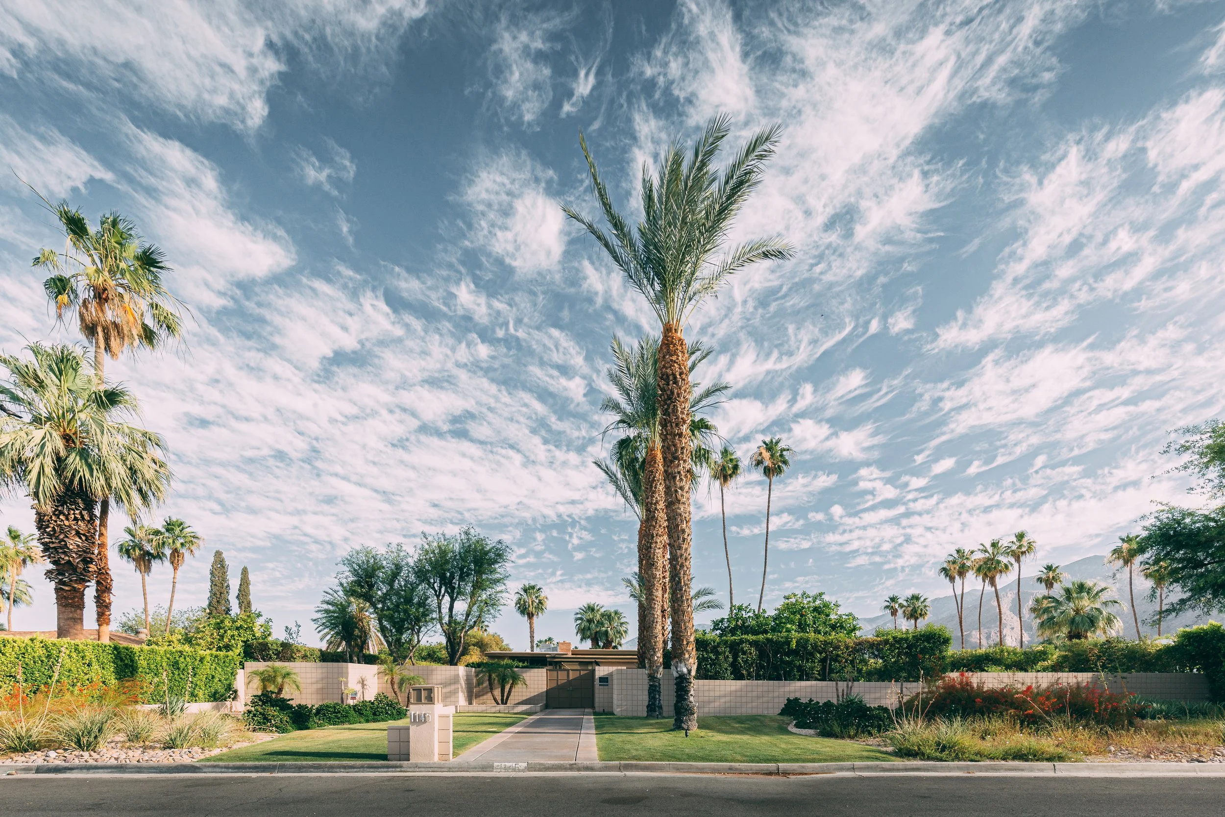 Joshua Tree HD-45.jpg