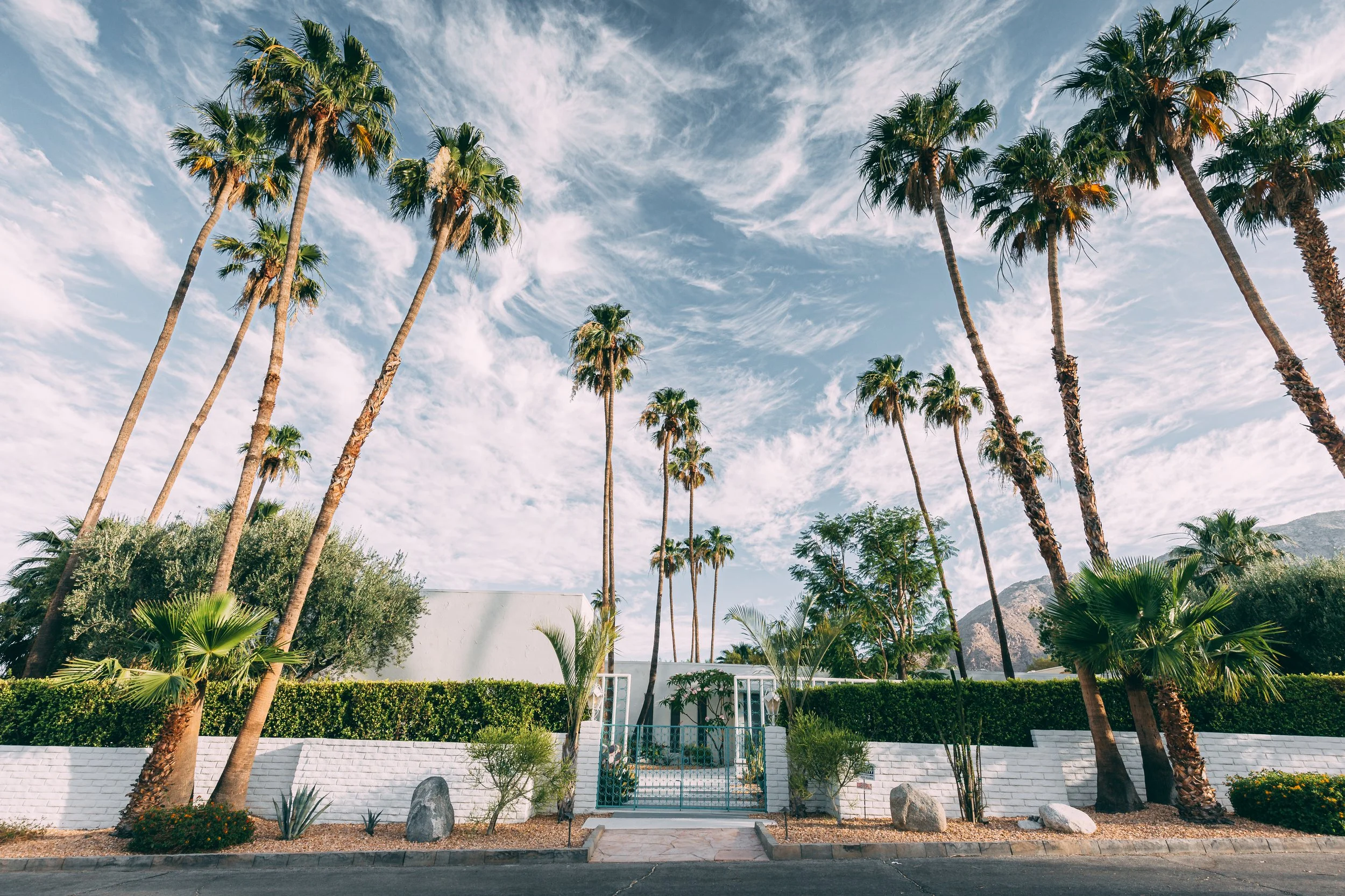 Joshua Tree HD-49.jpg