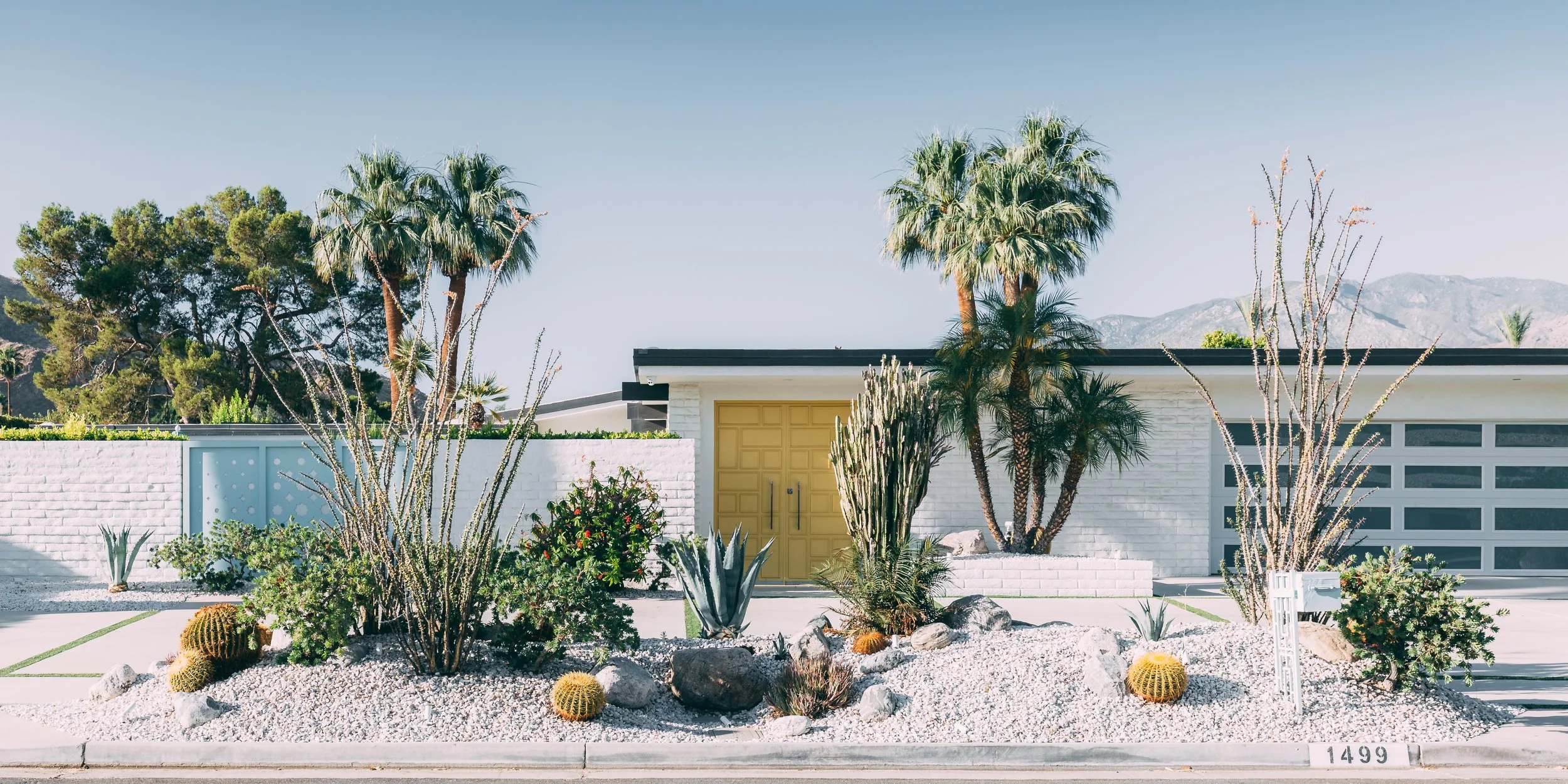 Joshua Tree HD-58.jpg