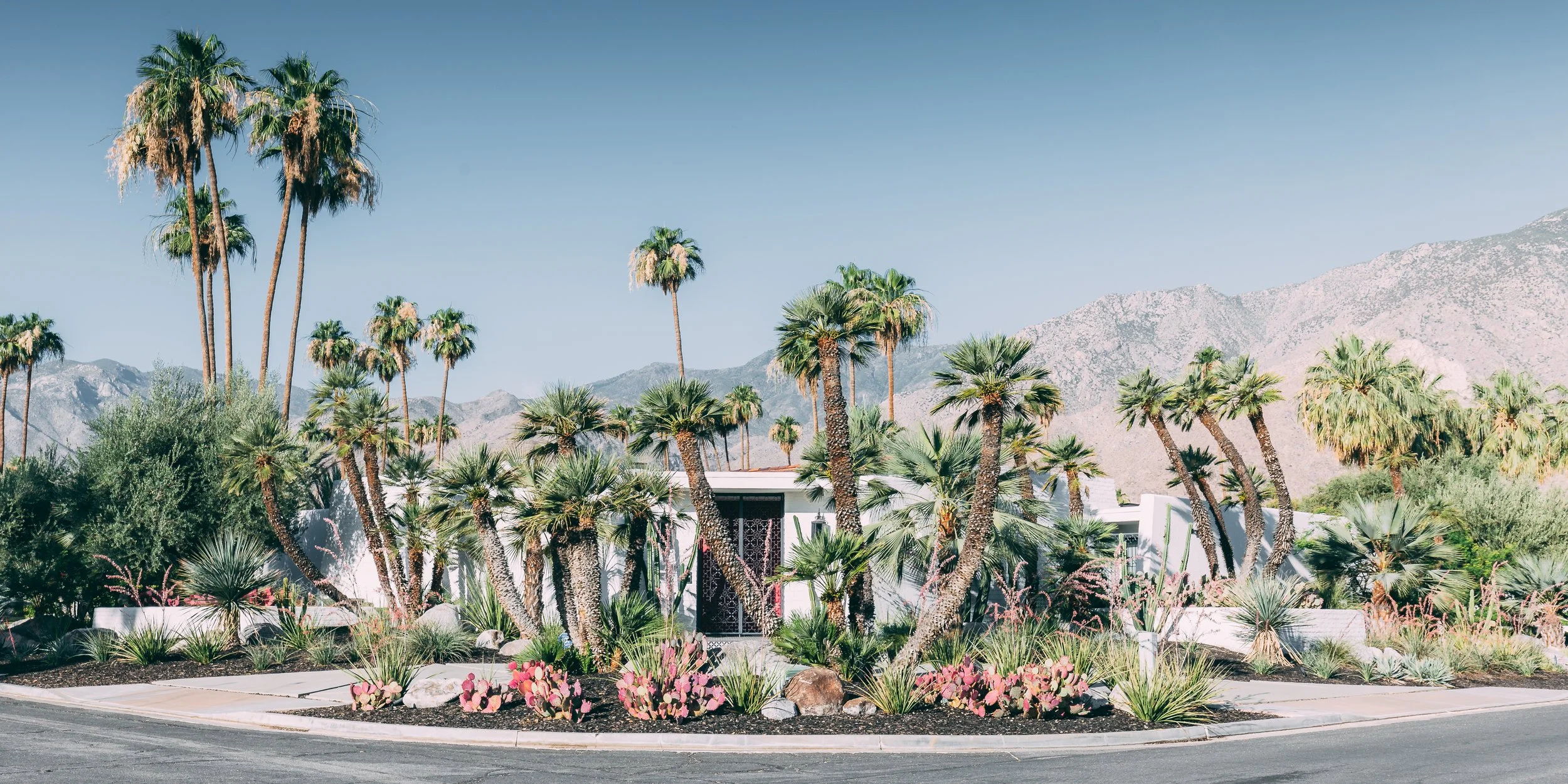 Joshua Tree HD-59.jpg