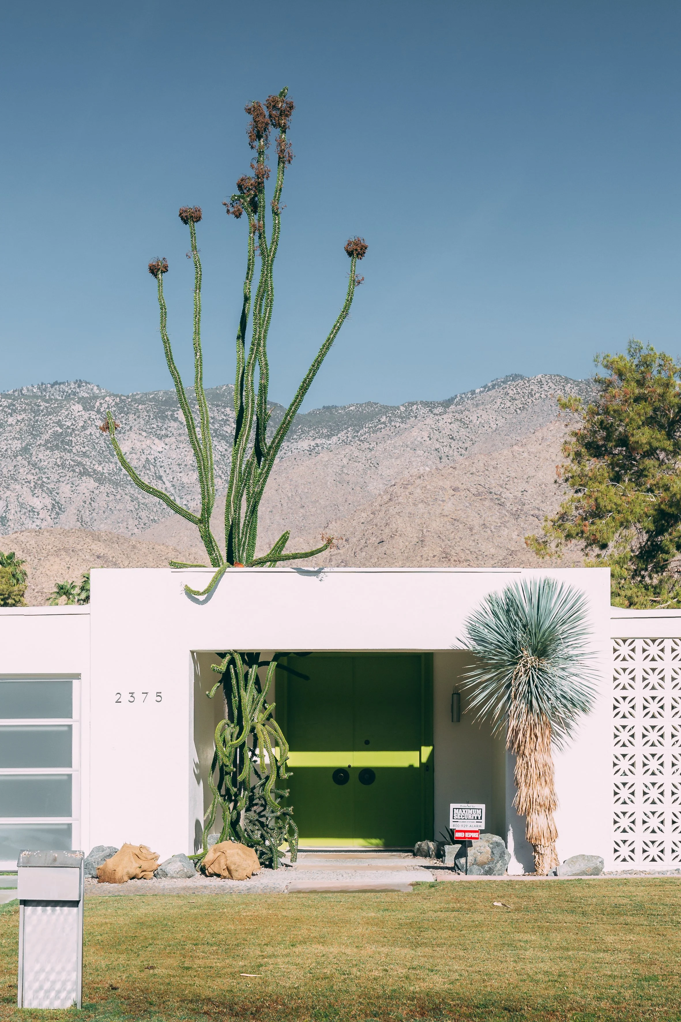 Joshua Tree HD-63.jpg