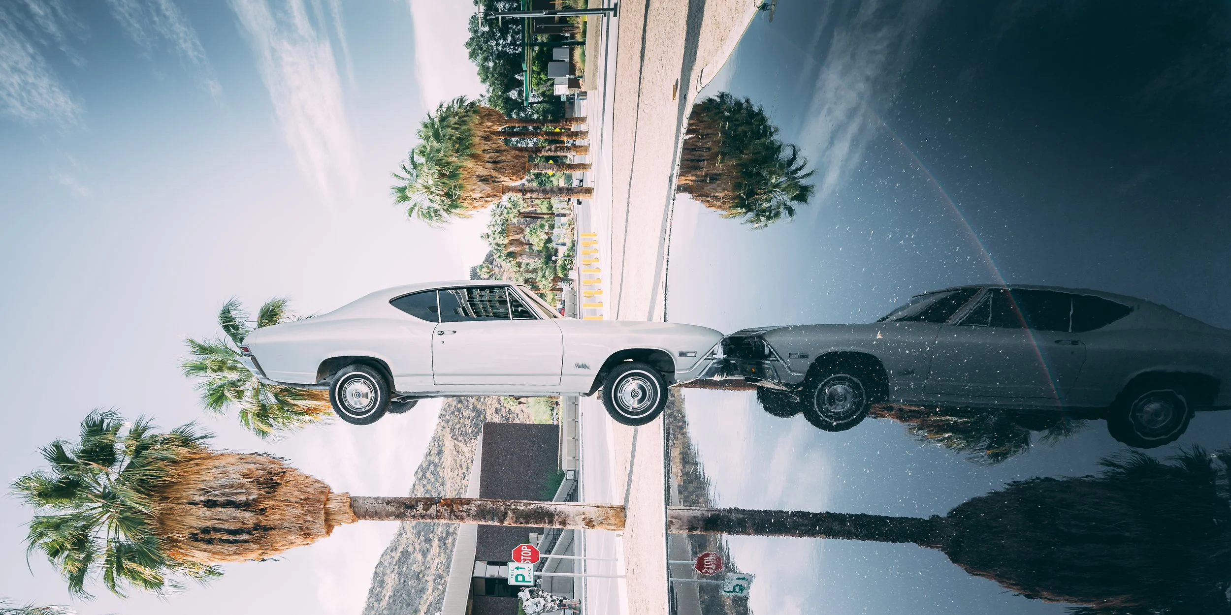 Joshua Tree HD-42.jpg