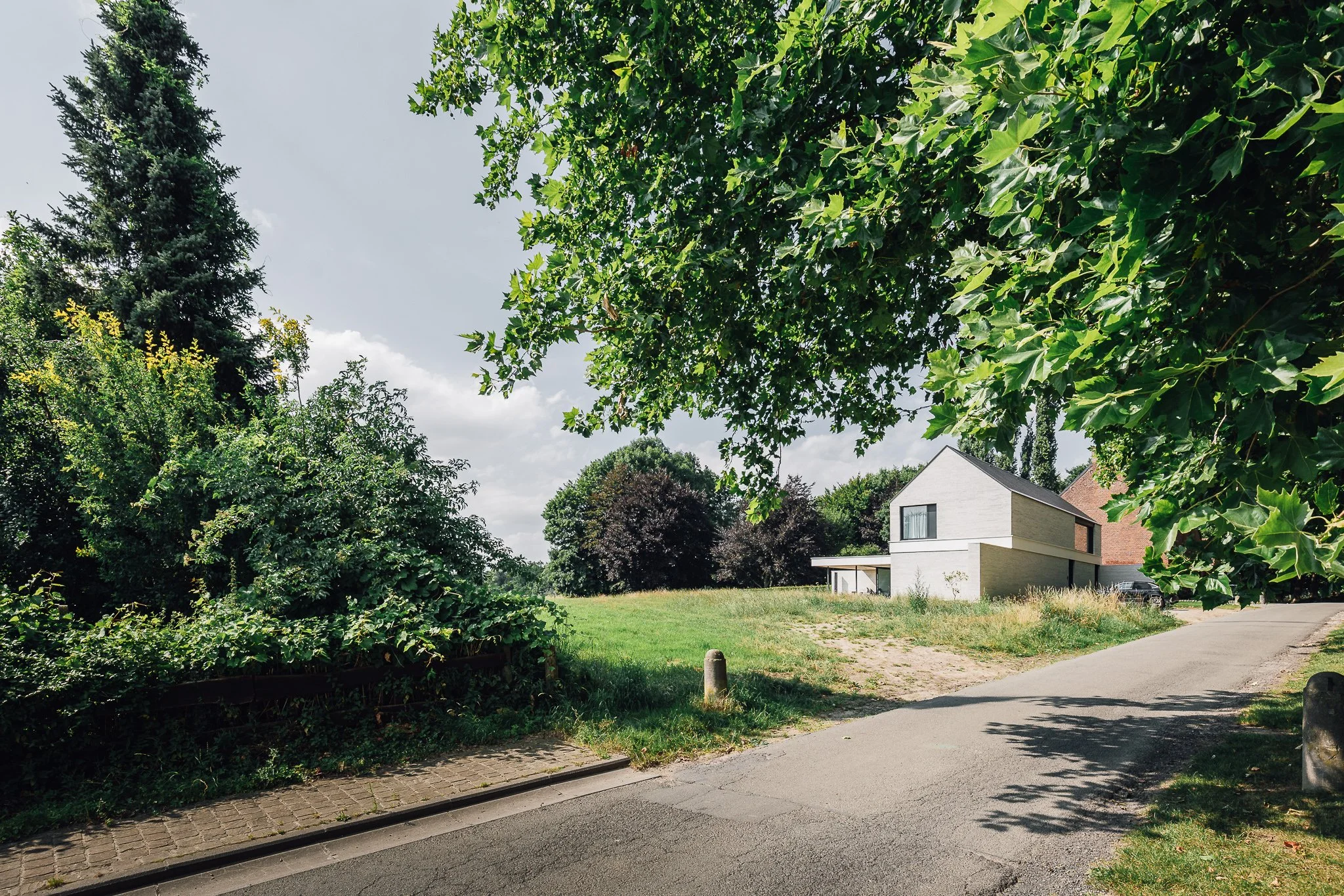 Silly Nys 2 (Web)-10.jpg