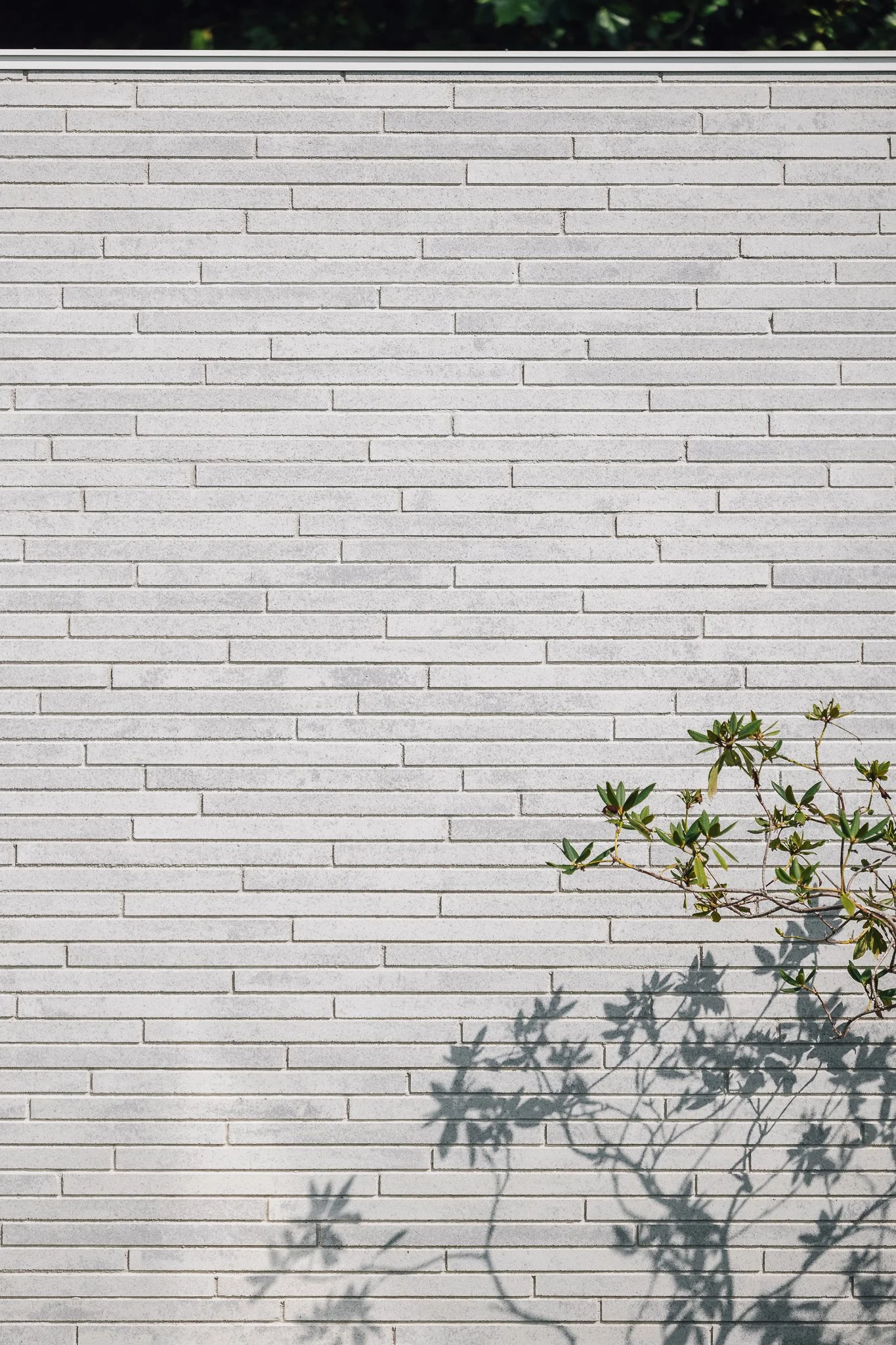 Silly Nys 2 (Web)-16.jpg