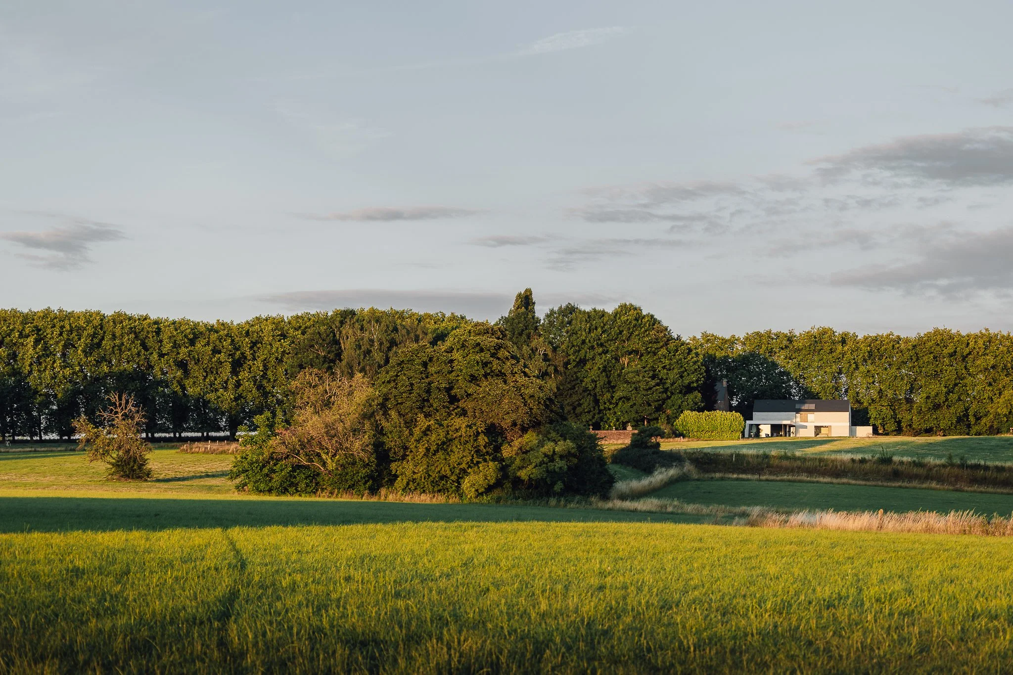 Silly Nys 2 (Web)-25.jpg