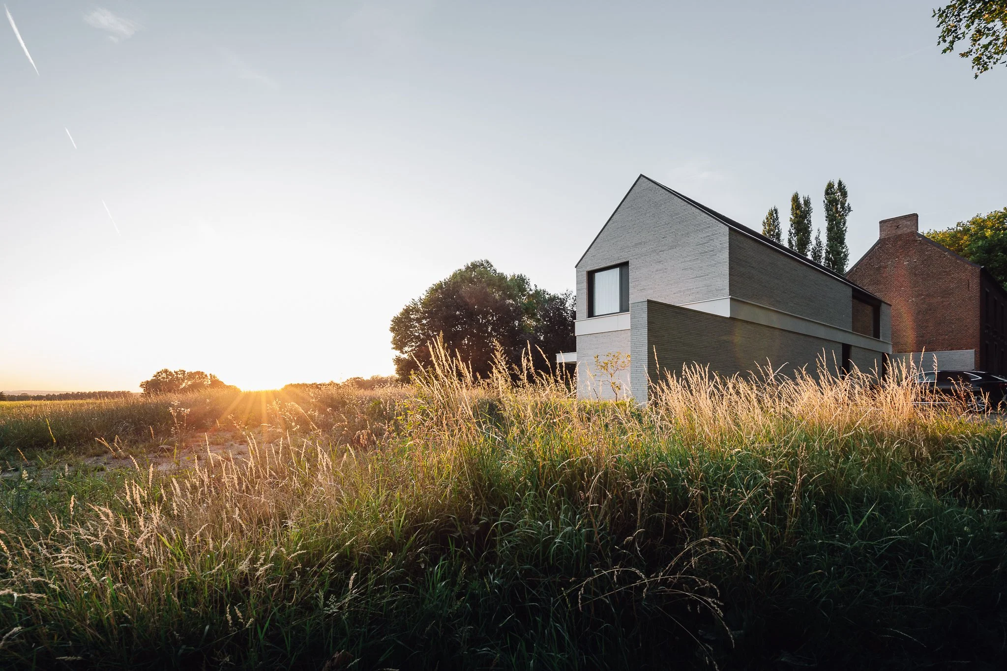 Silly Nys 2 (Web)-26.jpg