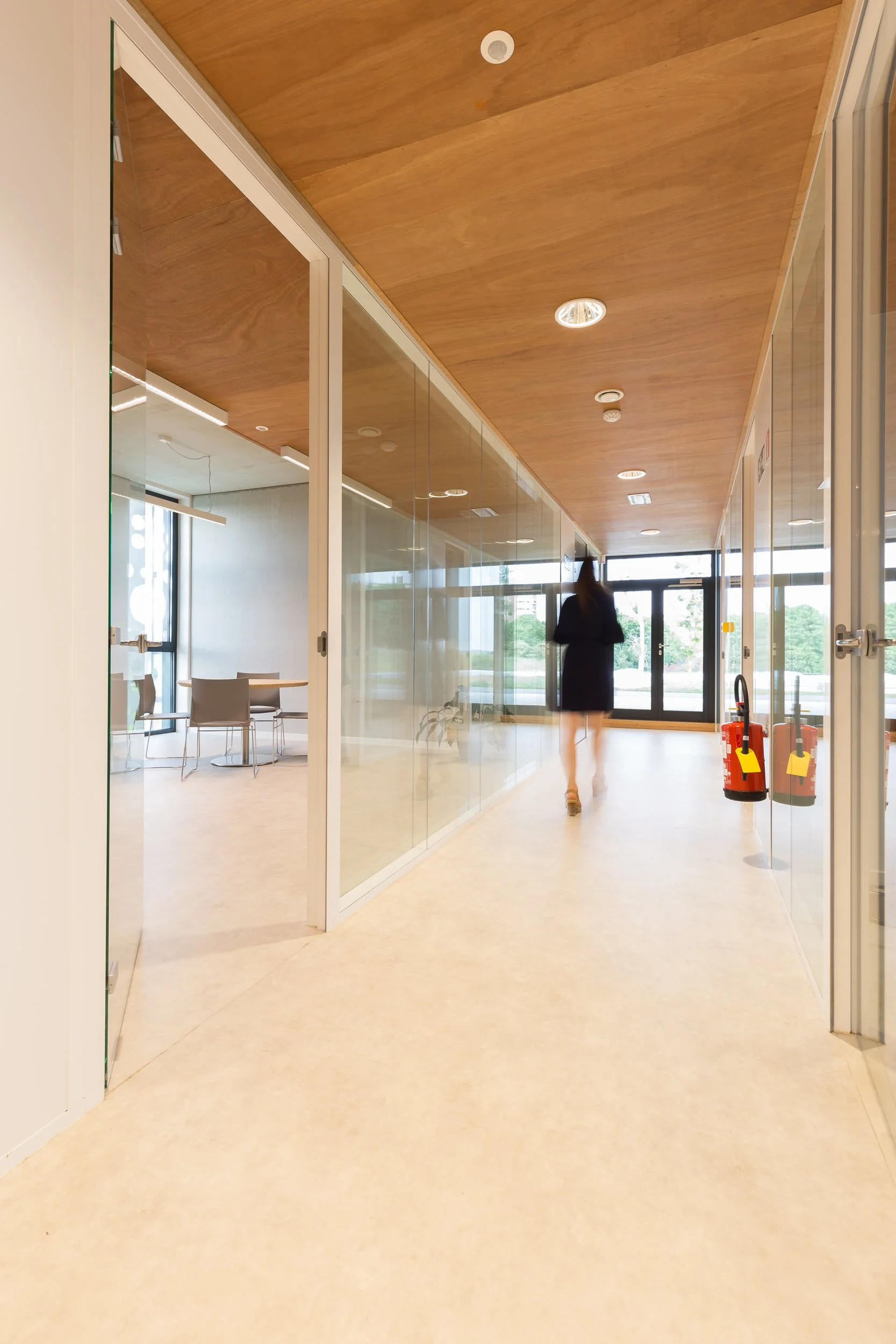 ISSH Binche SD-44.jpg