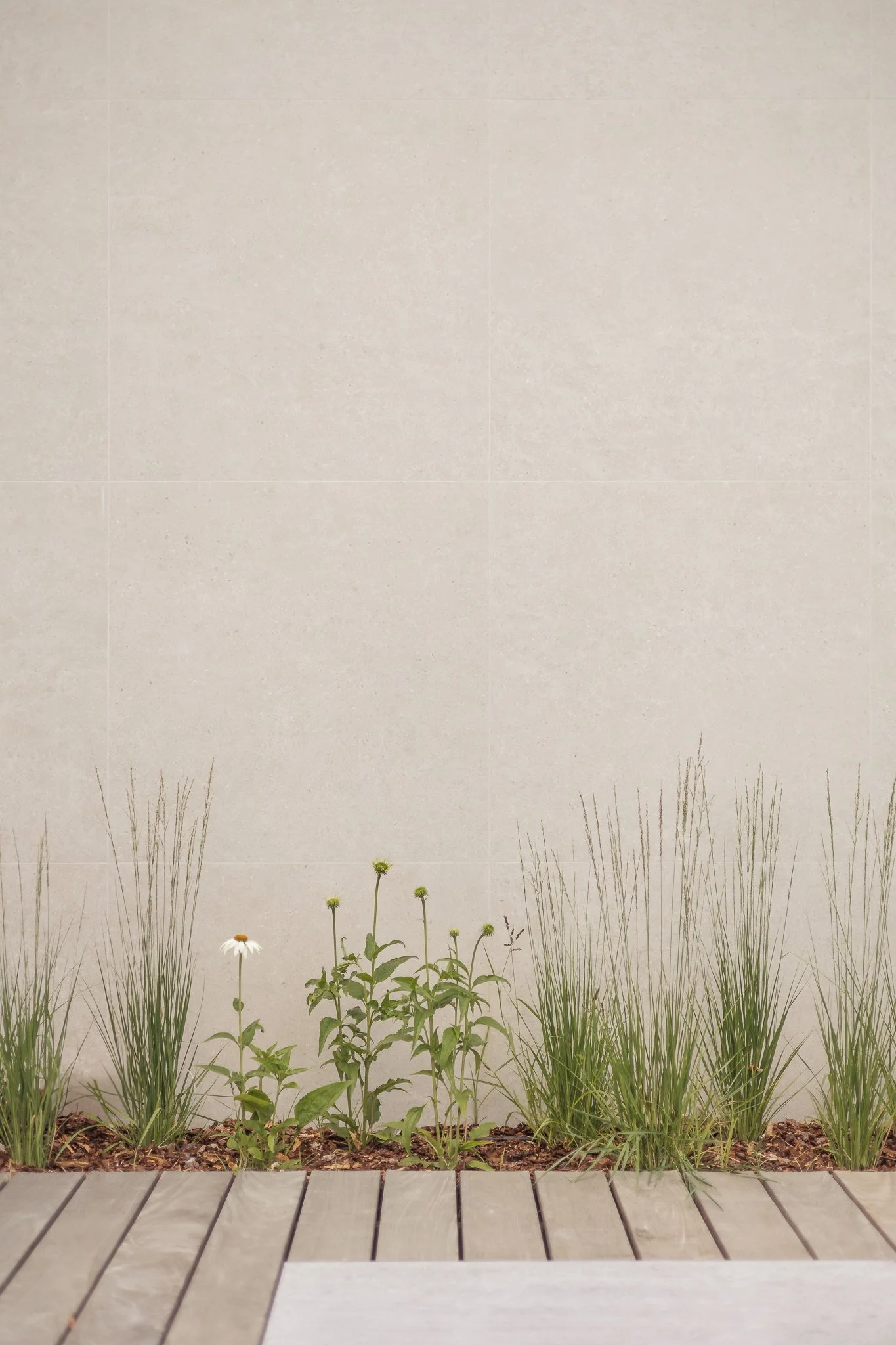 Nouvelle Drève Web-91.jpg