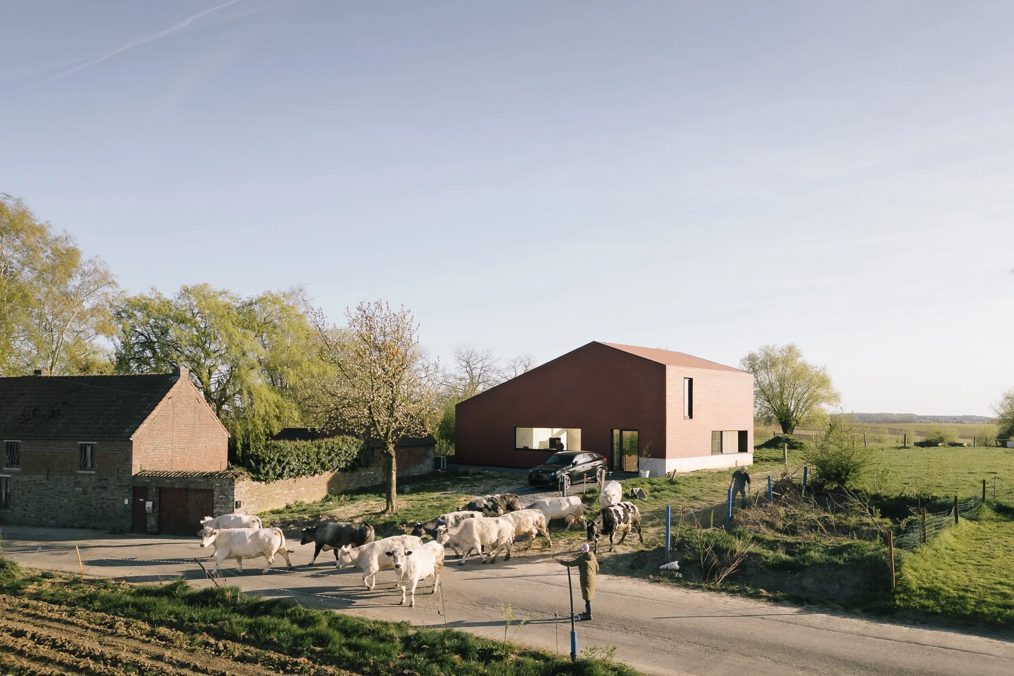 Cantine web ©Utku Pekli (37).jpg