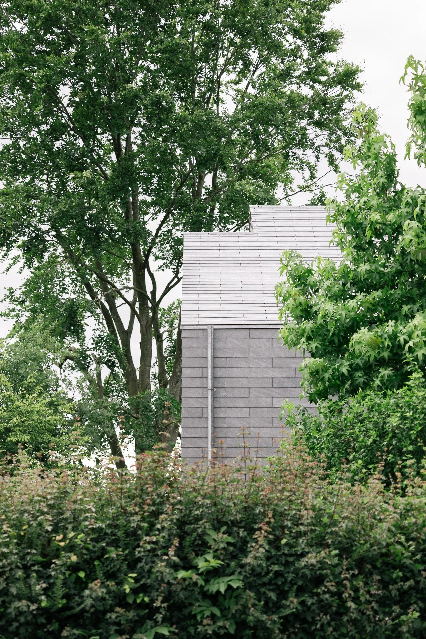 Rouge Cloître web (1).jpg