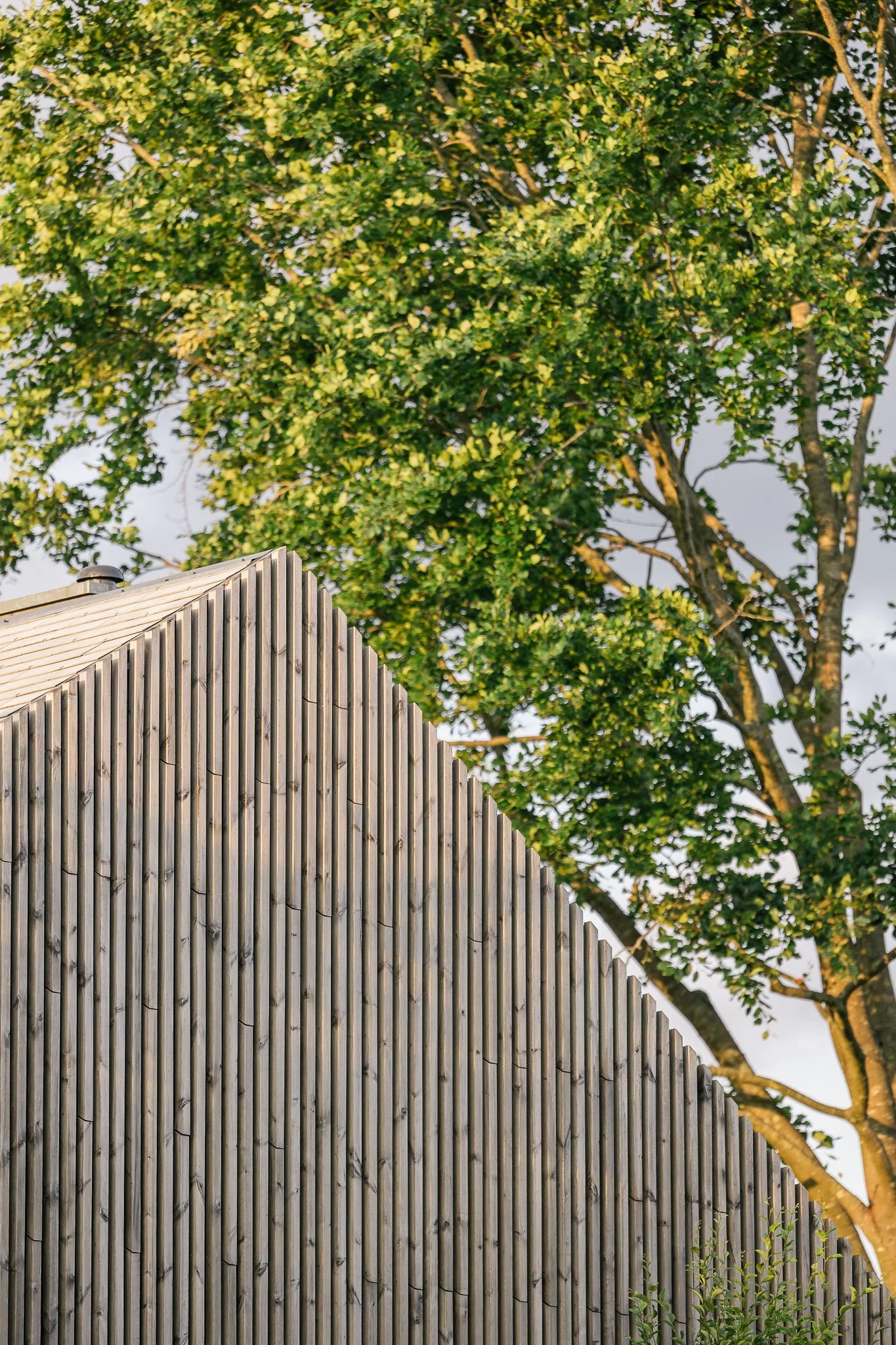 Rouge Cloître web (53).jpg