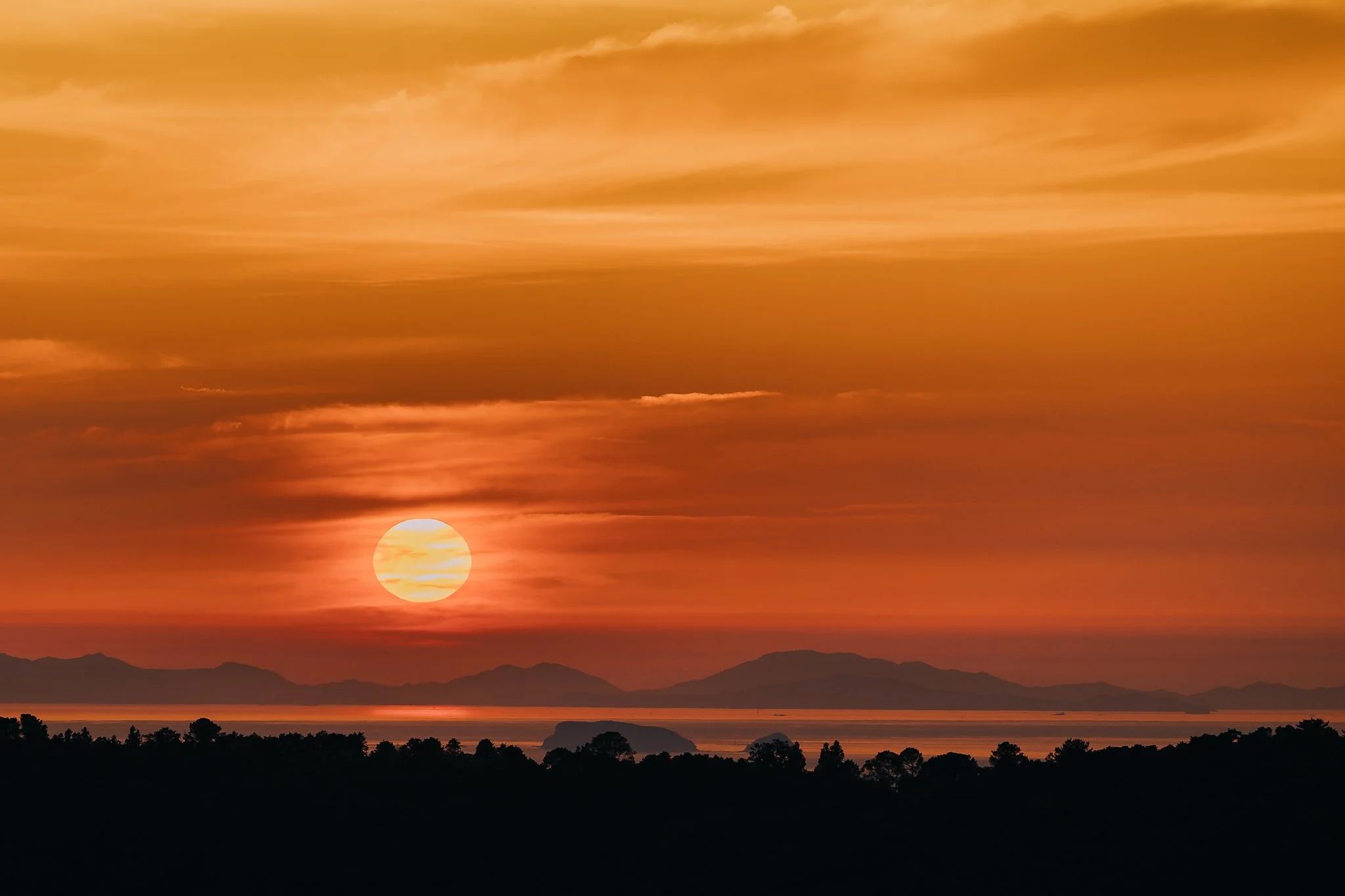 Seoul Japan 2024 web-272.jpg