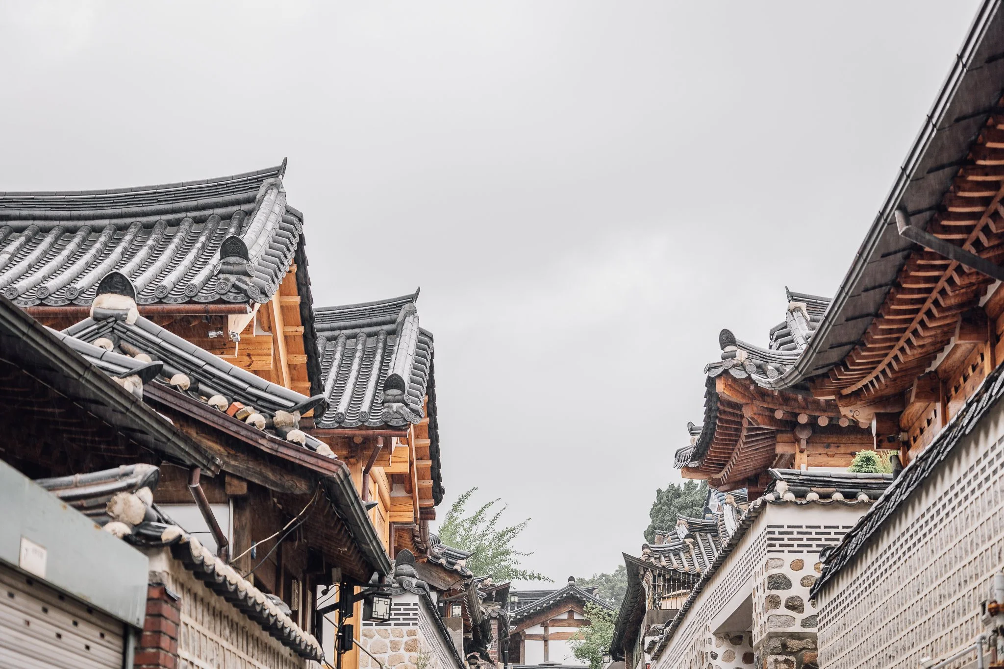 Seoul Japan 2024 web-54.jpg