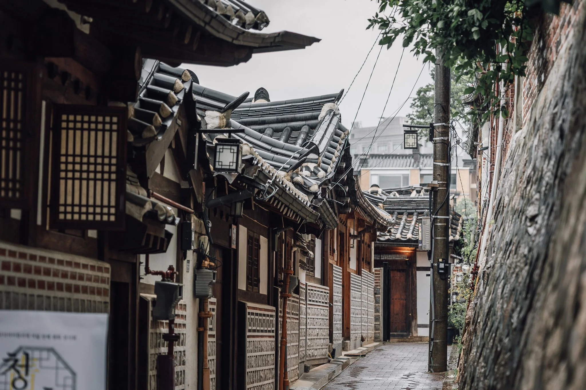 Seoul Japan 2024 web-57.jpg