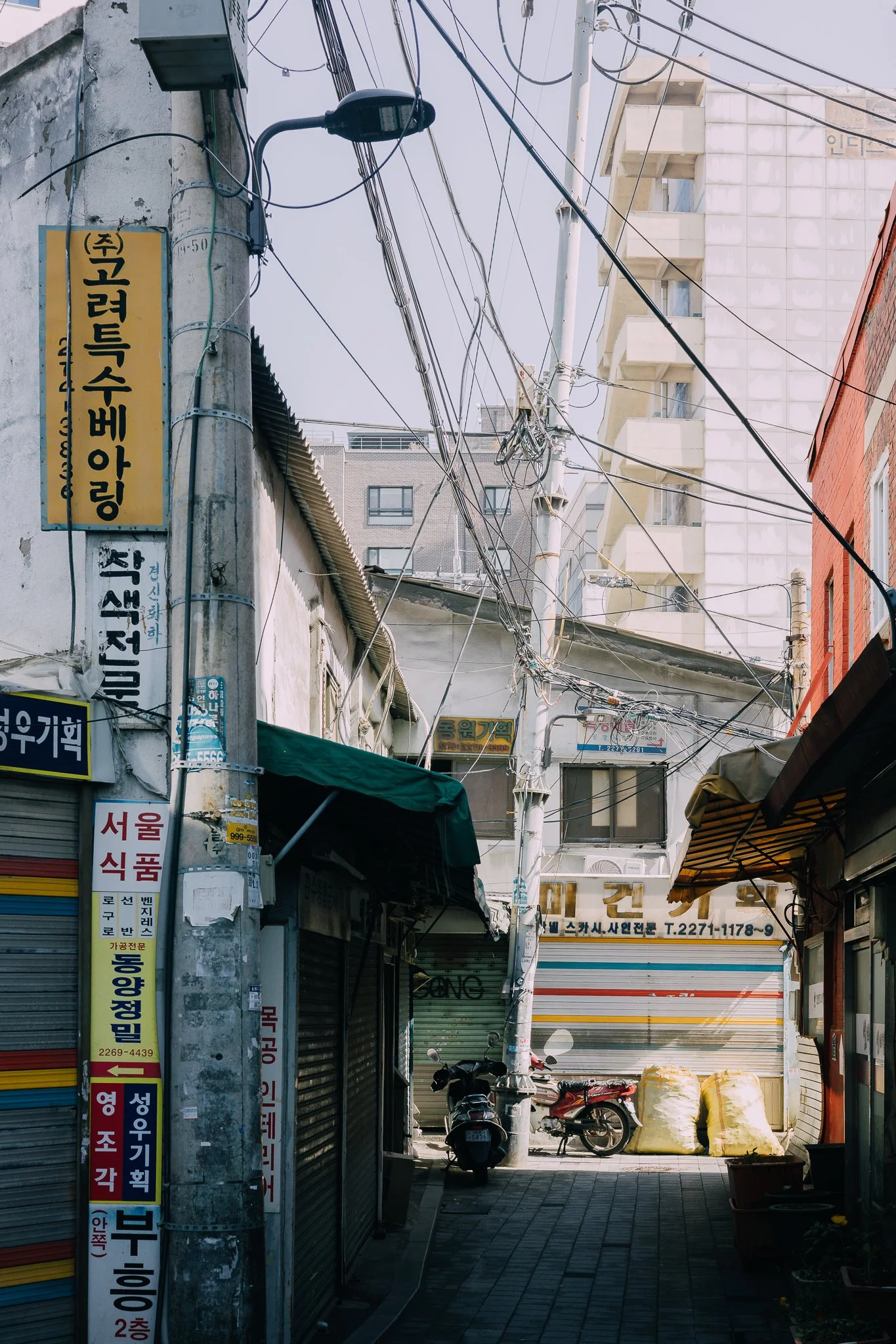 Seoul Japan 2024 web-98.jpg