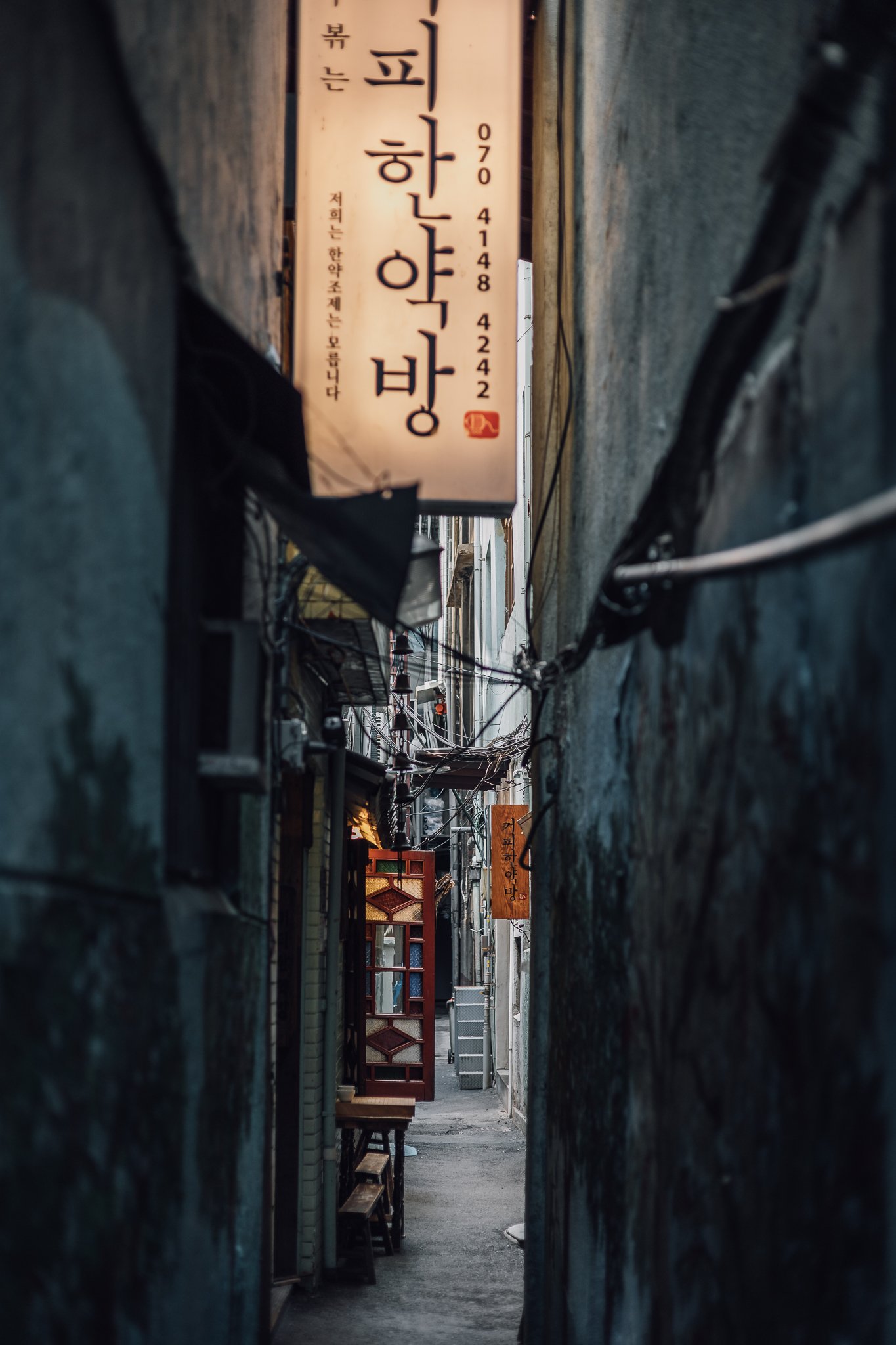 Seoul Japan 2024 web-1.jpg