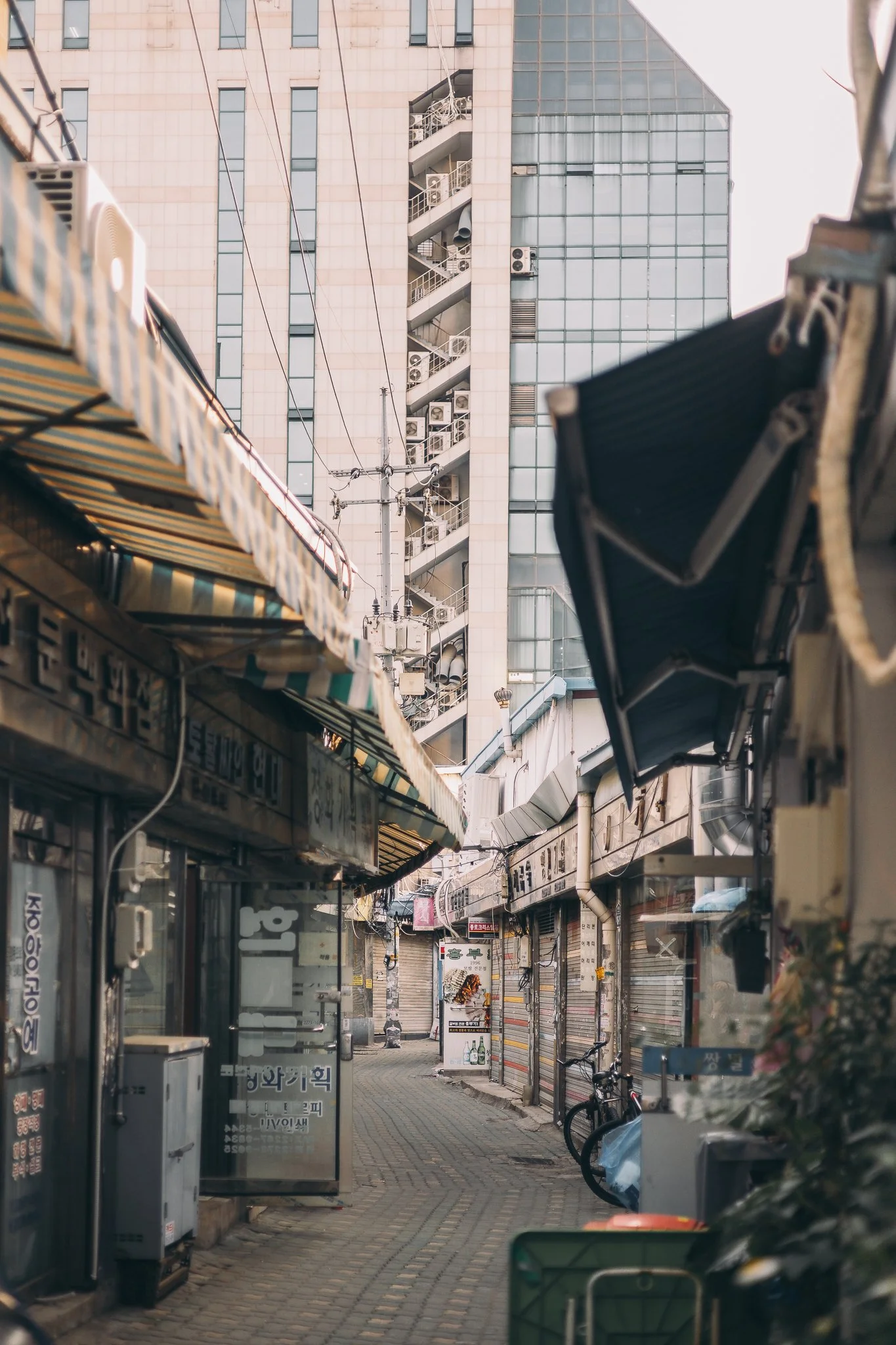 Seoul Japan 2024 web-8.jpg