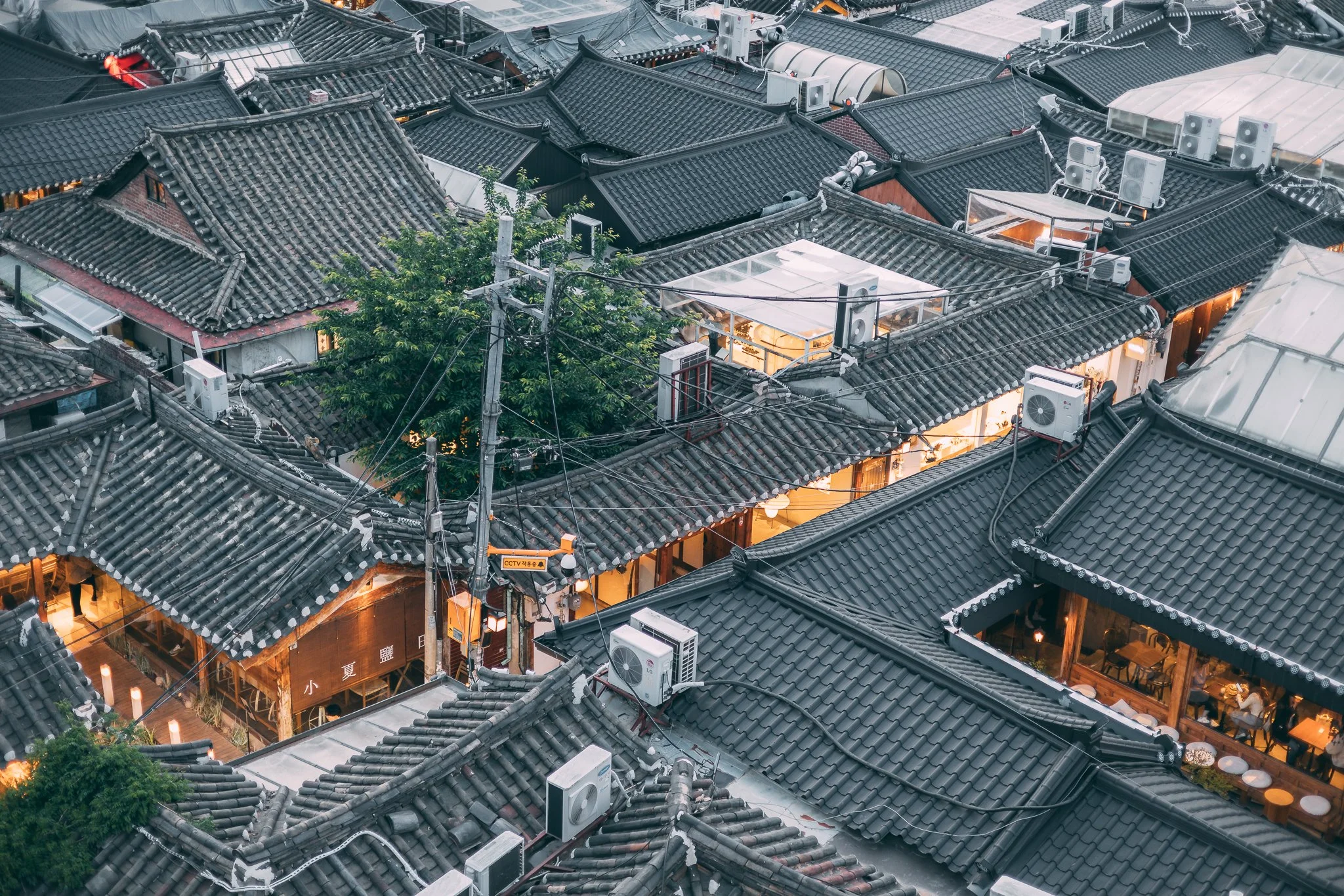 Seoul Japan 2024 web-18.jpg