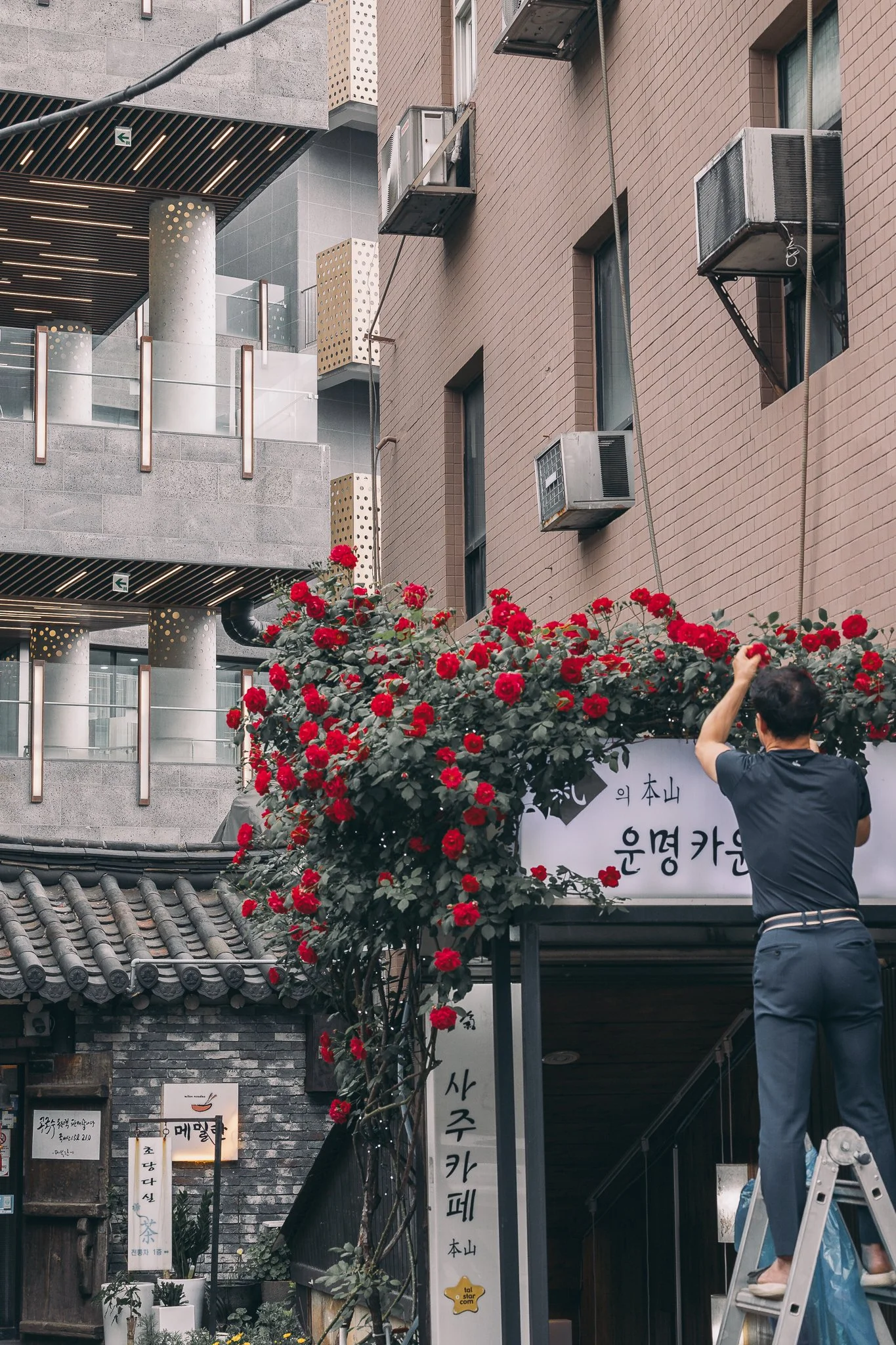 Seoul Japan 2024 web-28.jpg