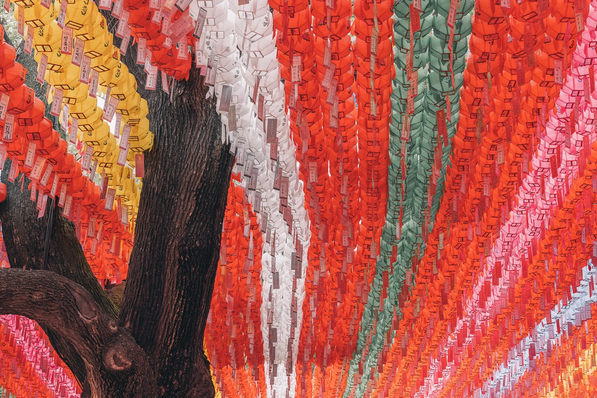 Seoul Japan 2024 web-34.jpg