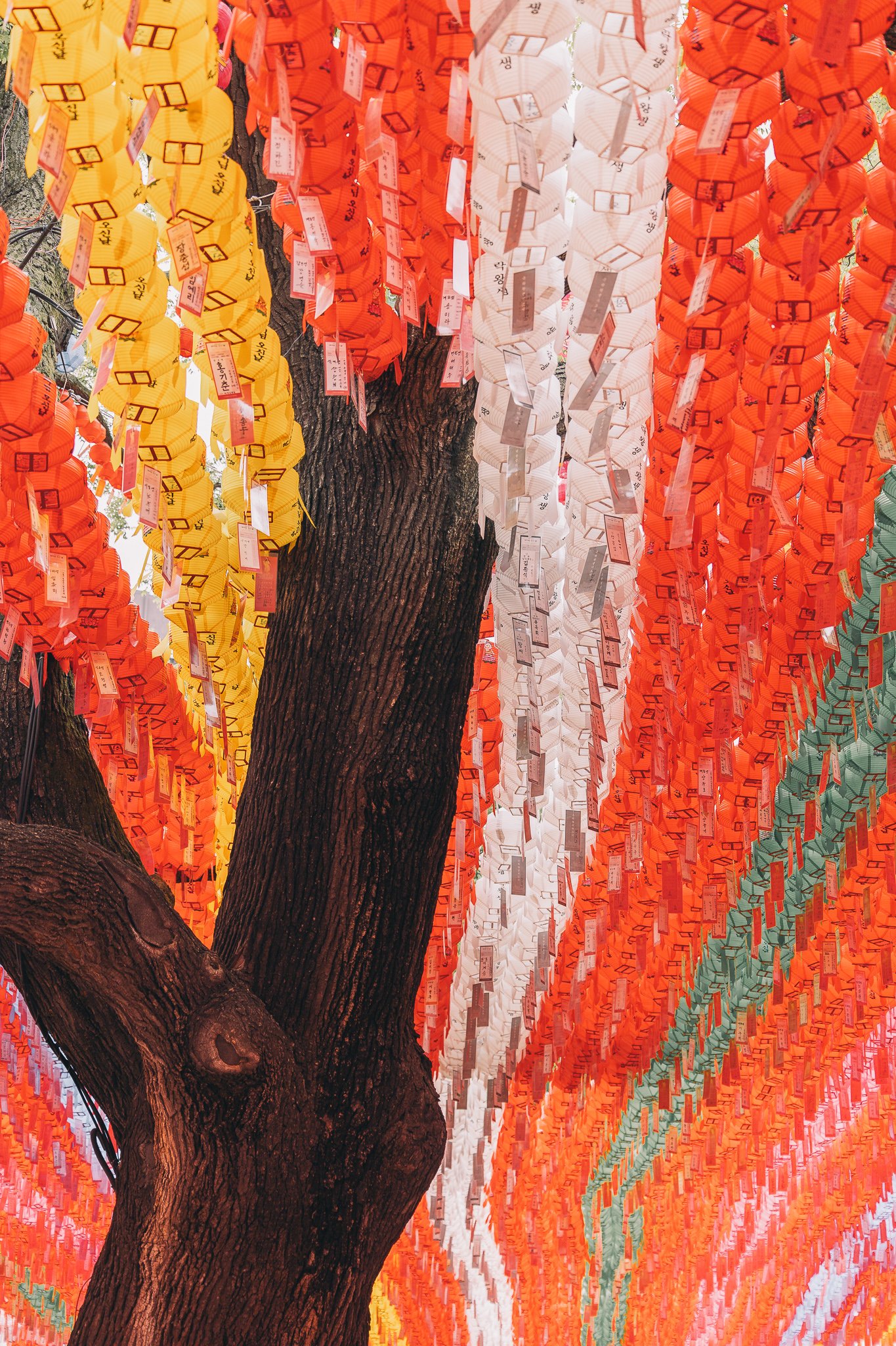 Seoul Japan 2024 web-35.jpg