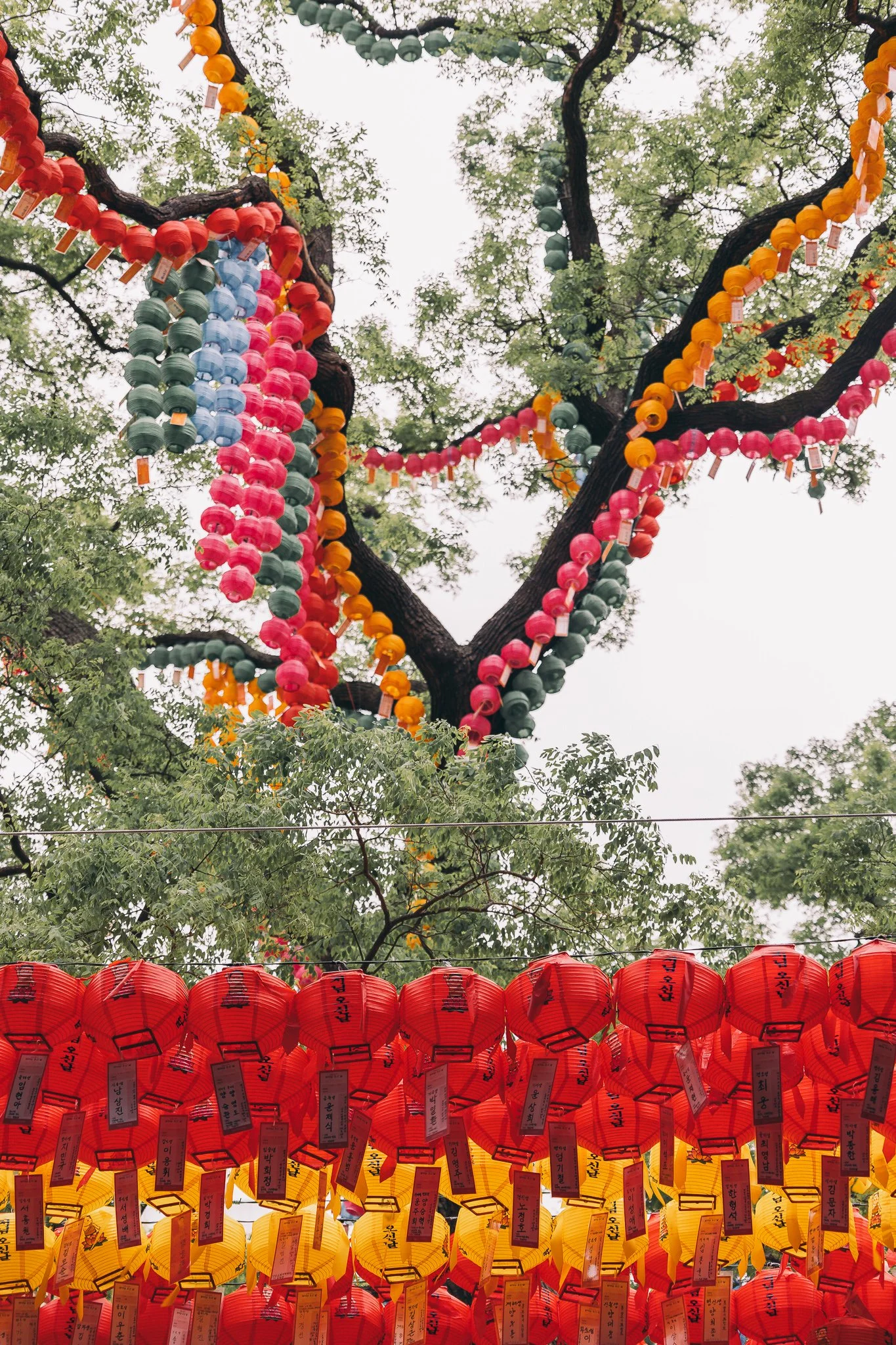 Seoul Japan 2024 web-39.jpg