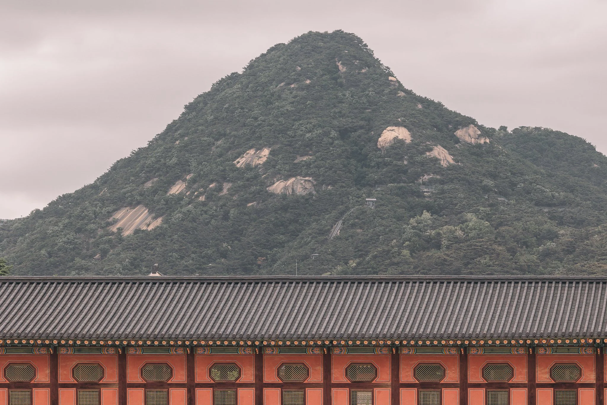 Seoul Japan 2024 web-46.jpg