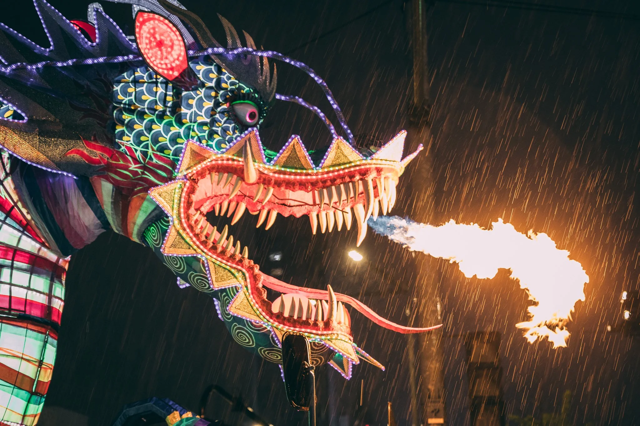 Seoul Japan 2024 web-93.jpg