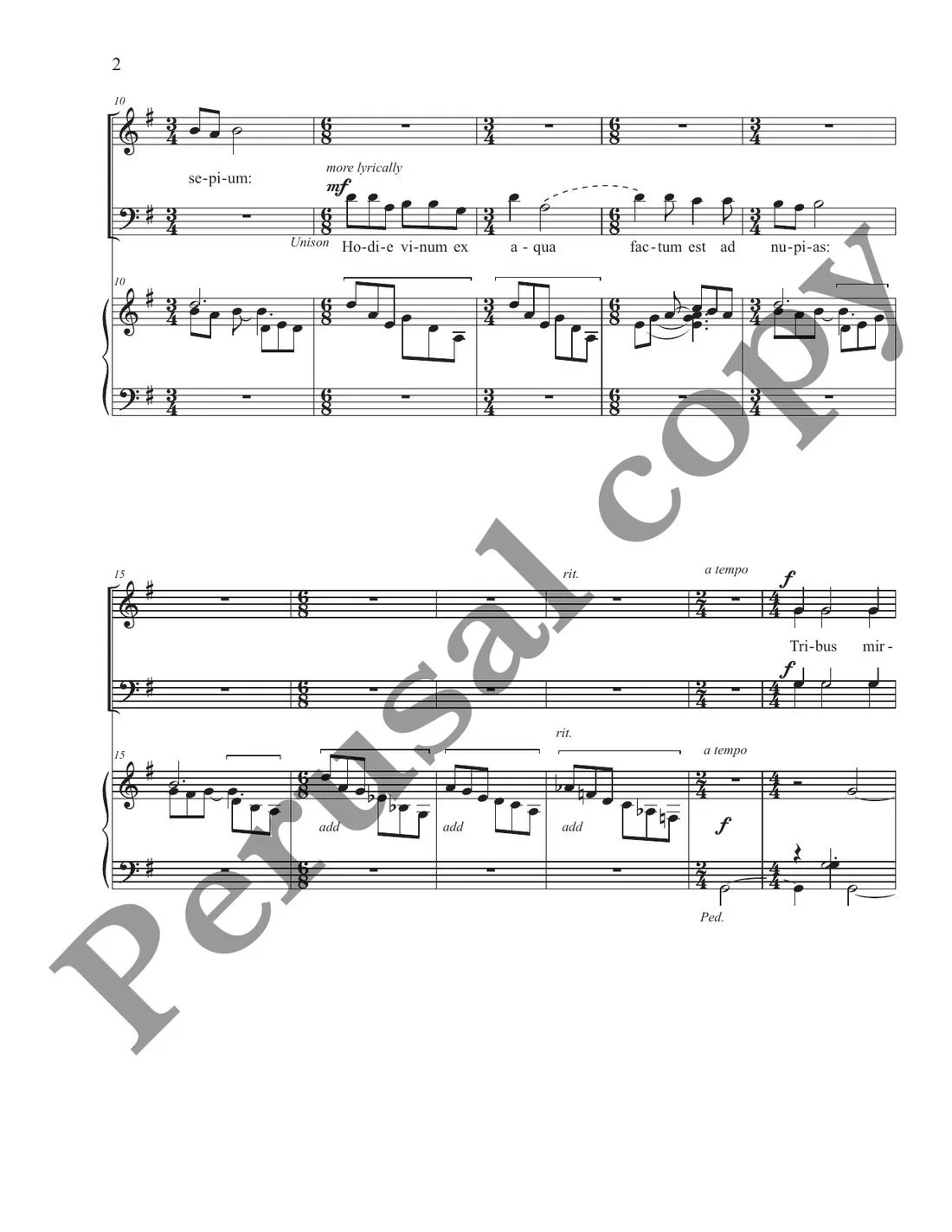 tribus-miraculis-p2.jpg