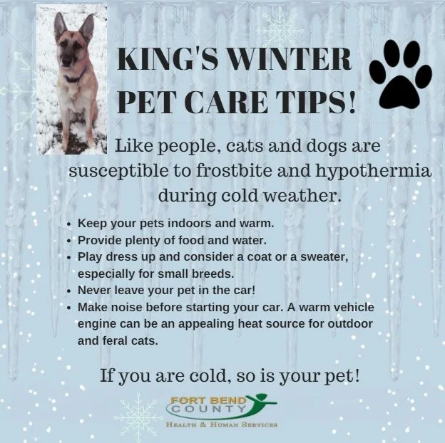via: Fort Bend County Health & Human Services