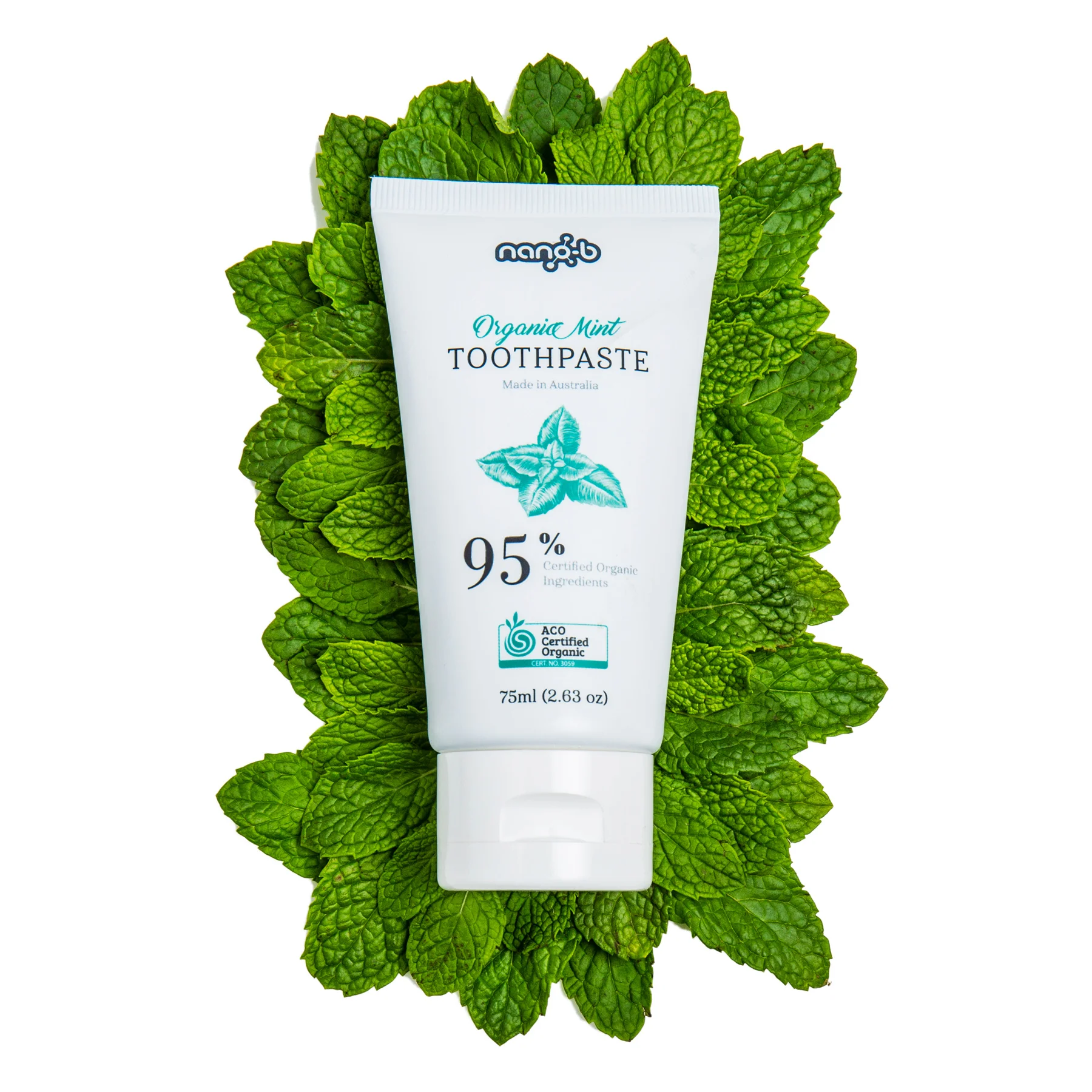 mint-toothpaste.jpg