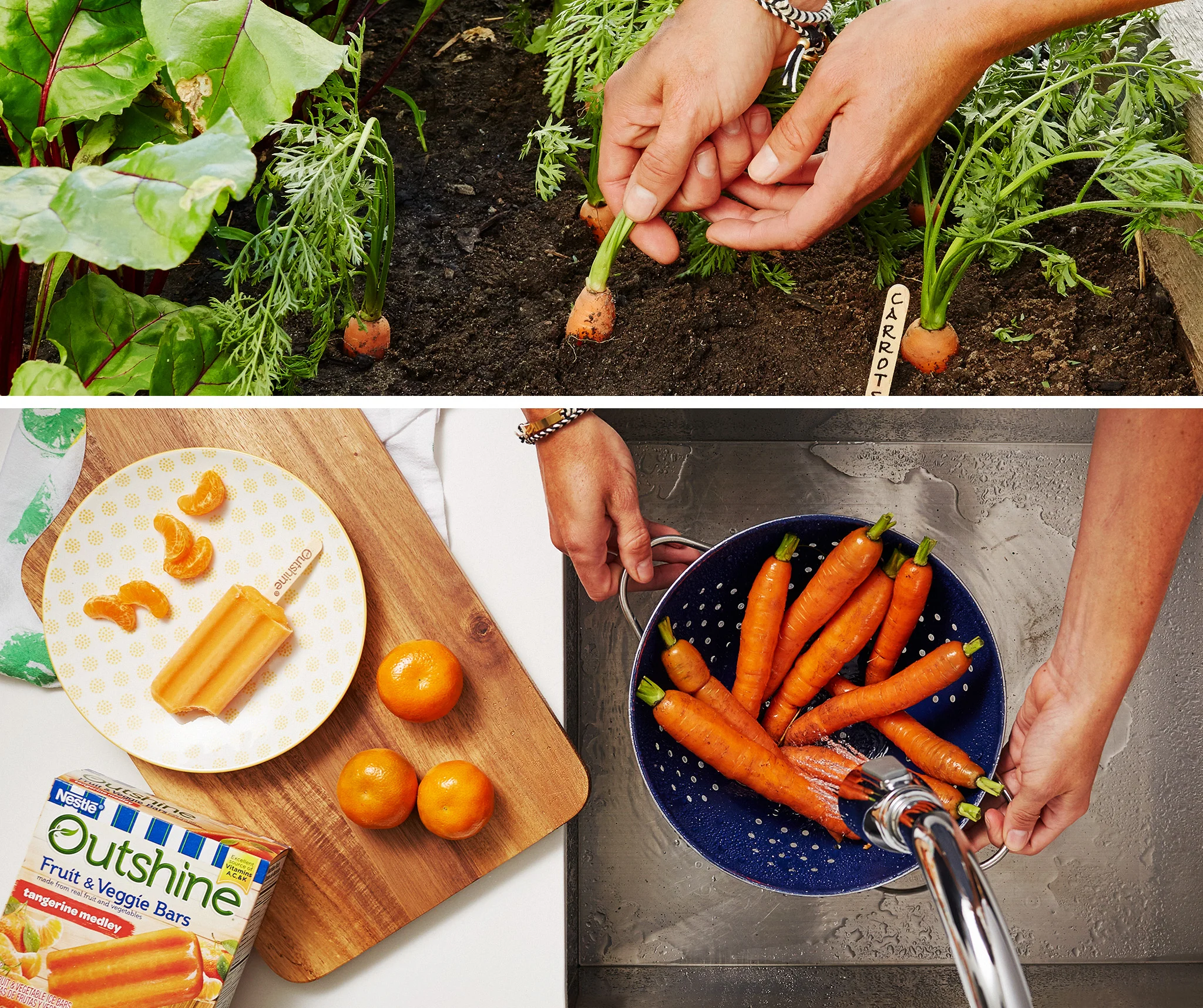 Food Photography