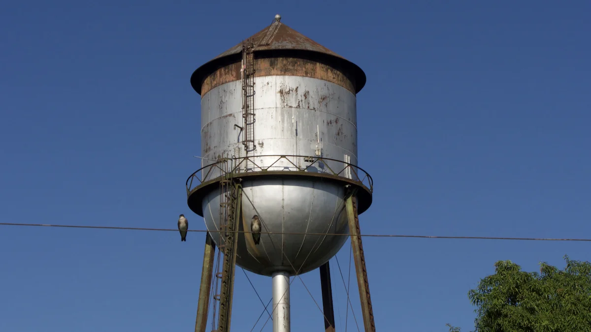 Fordlândia water tower