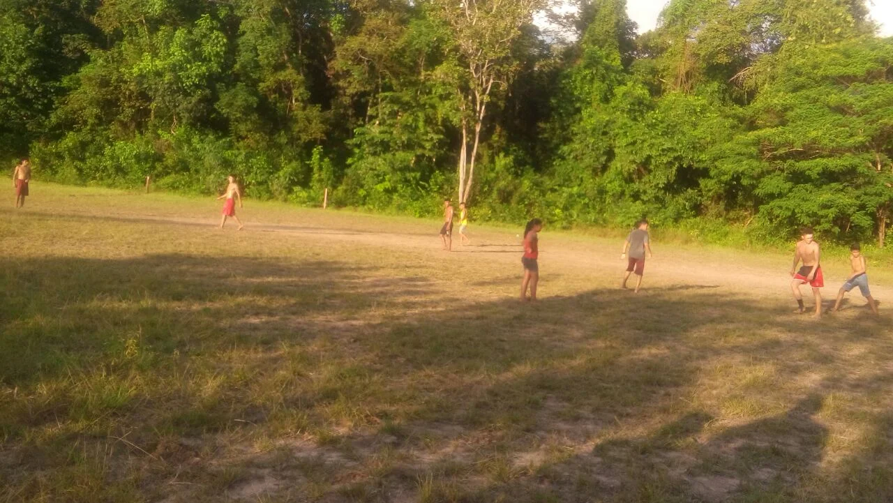 The area of the Aramanaí community in litigation