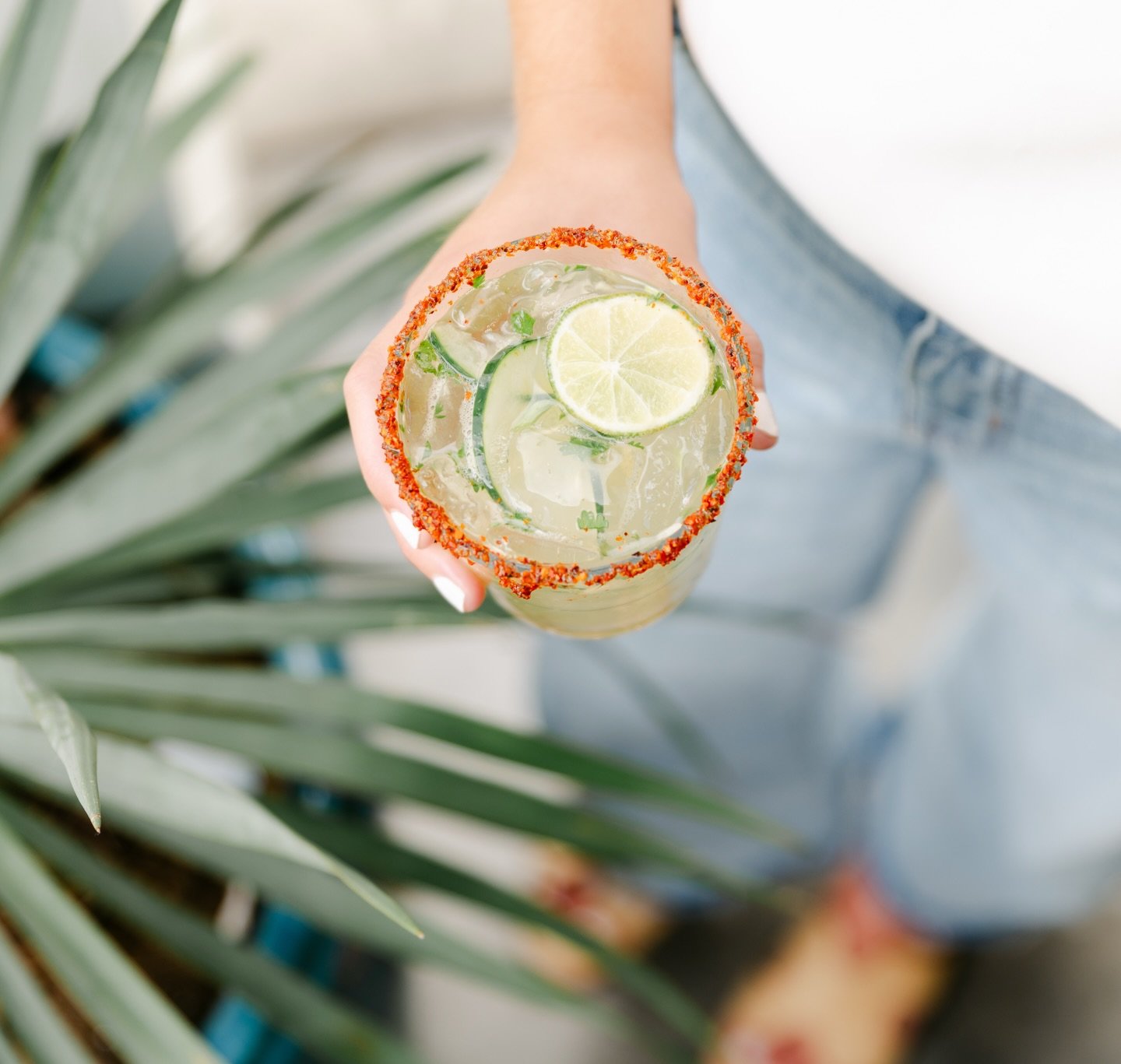 Like for a salt rim 
Comment for a taj&iacute;n
(we like both)☺️🍋&zwj;🟩