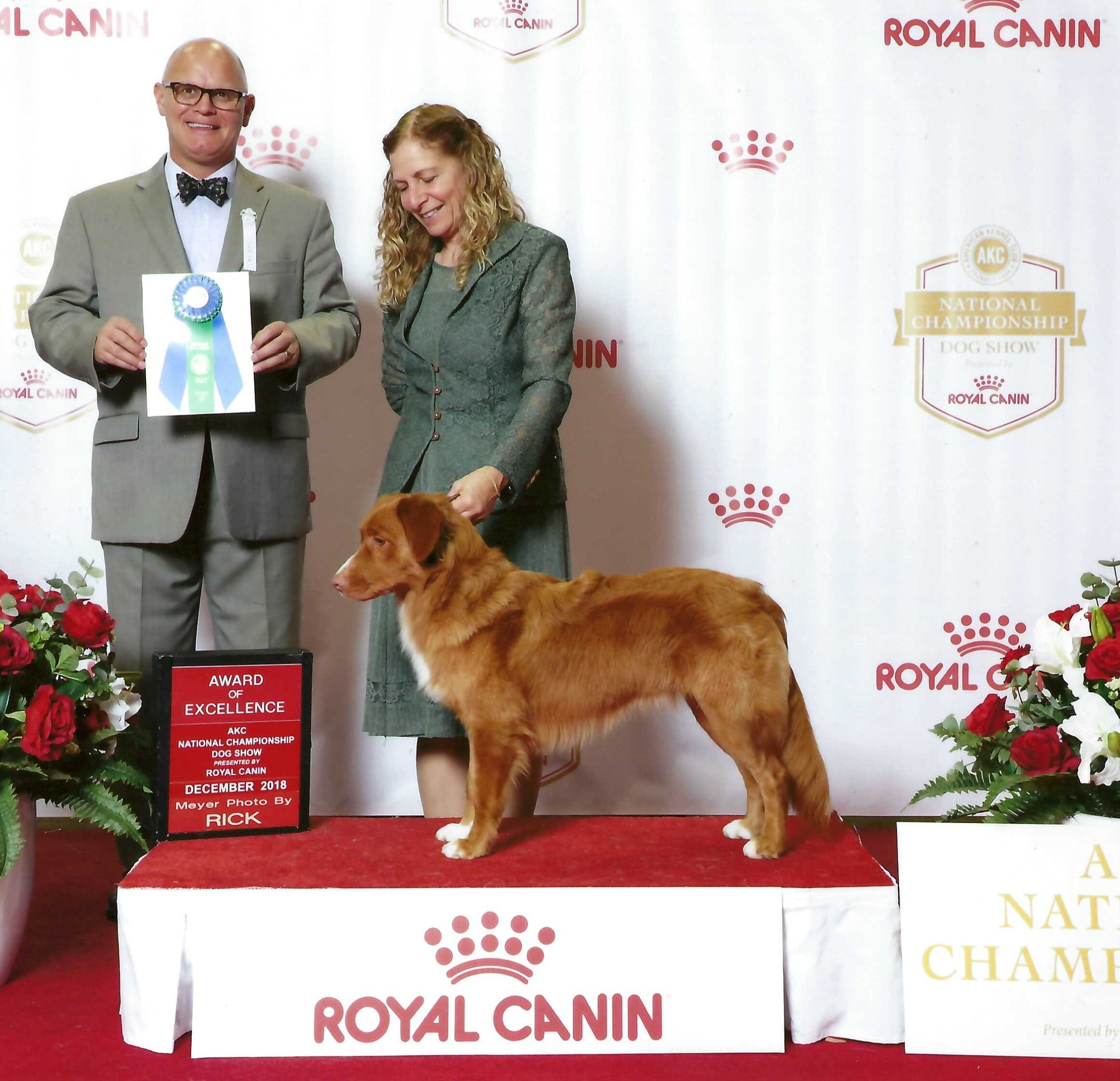 SJAOMRoyalCanin.jpg
